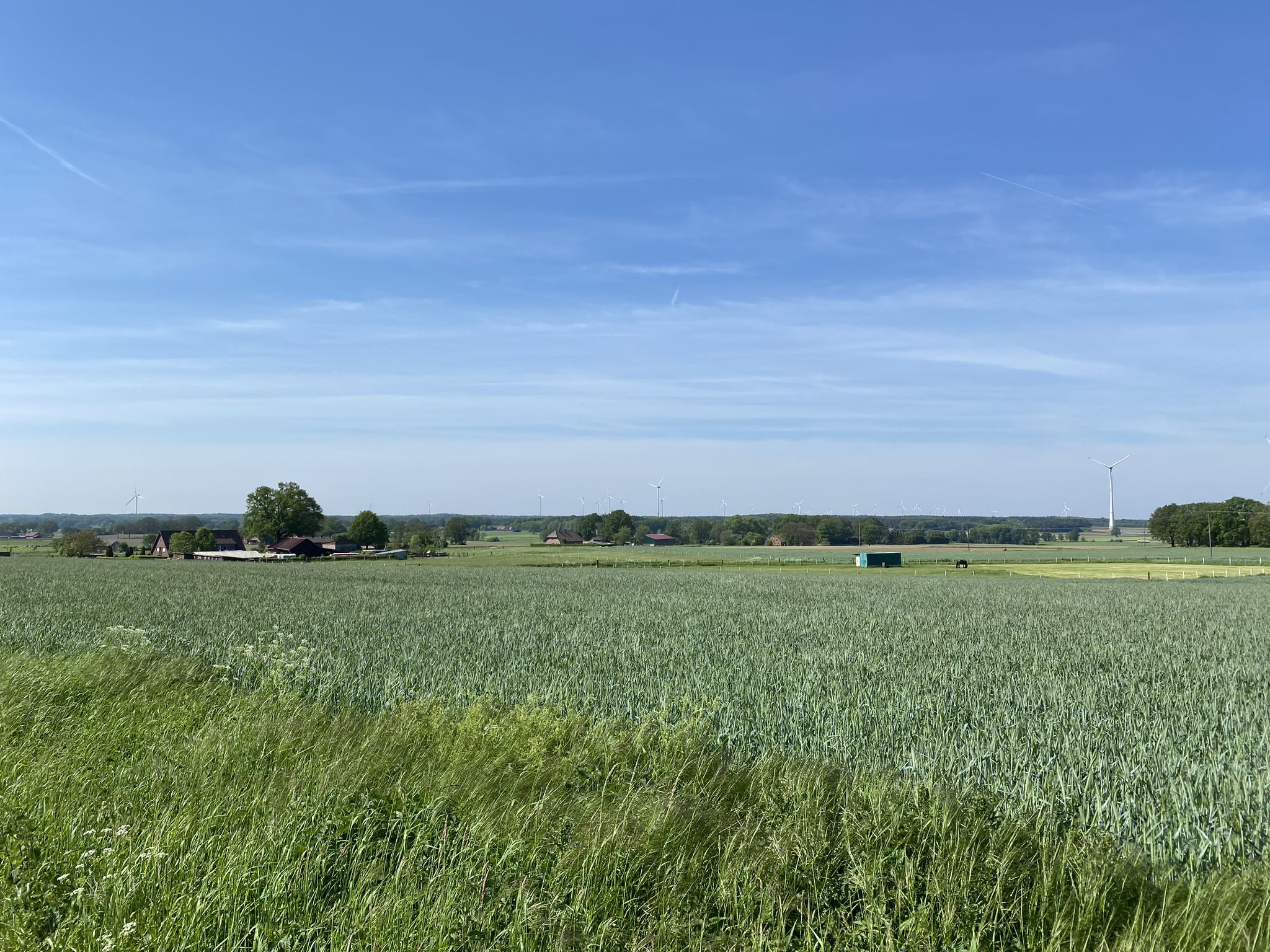 …mit Ausblick