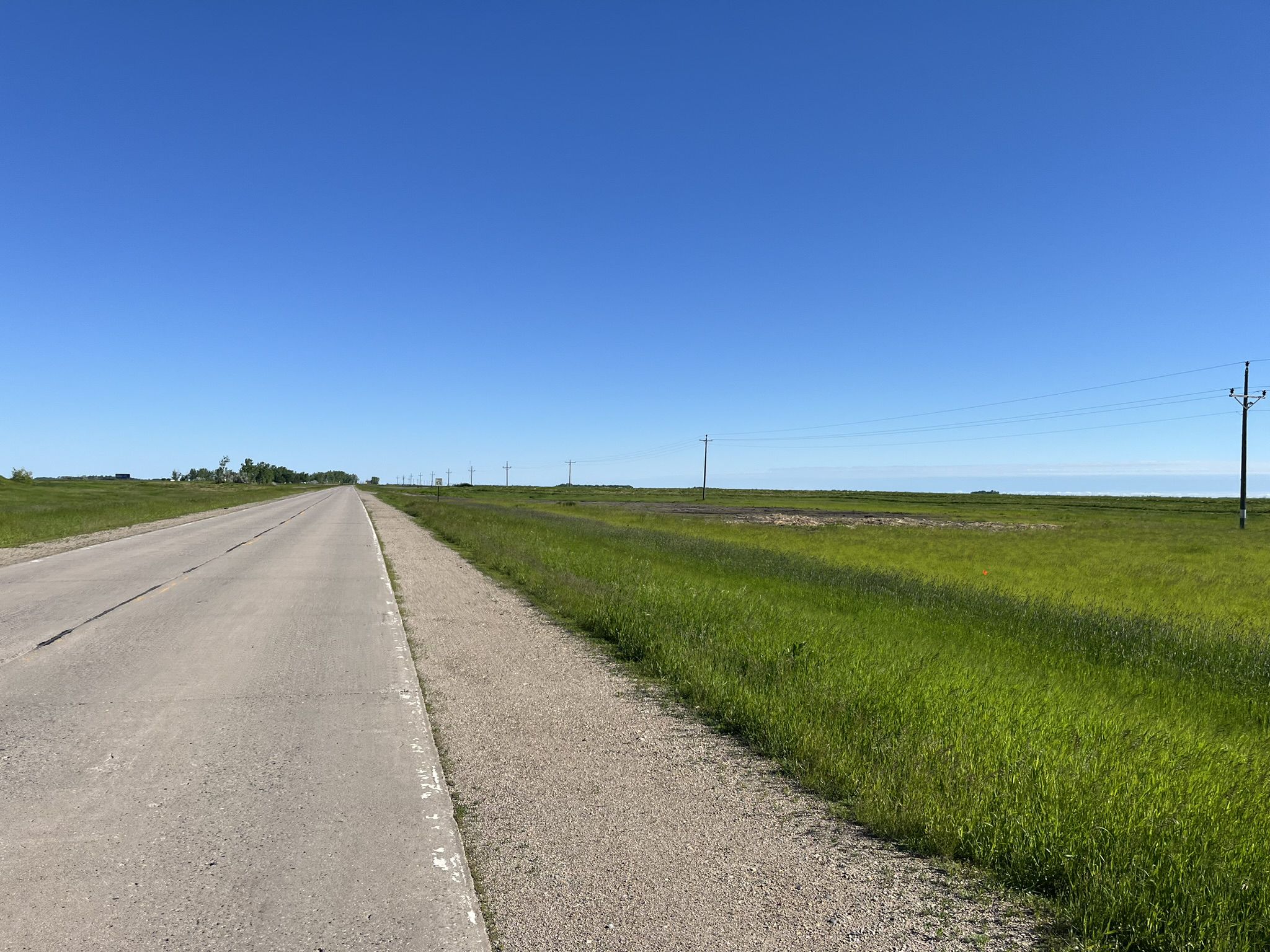 A long, straight road through flat green fields under a clear blue sky. - Perley loop