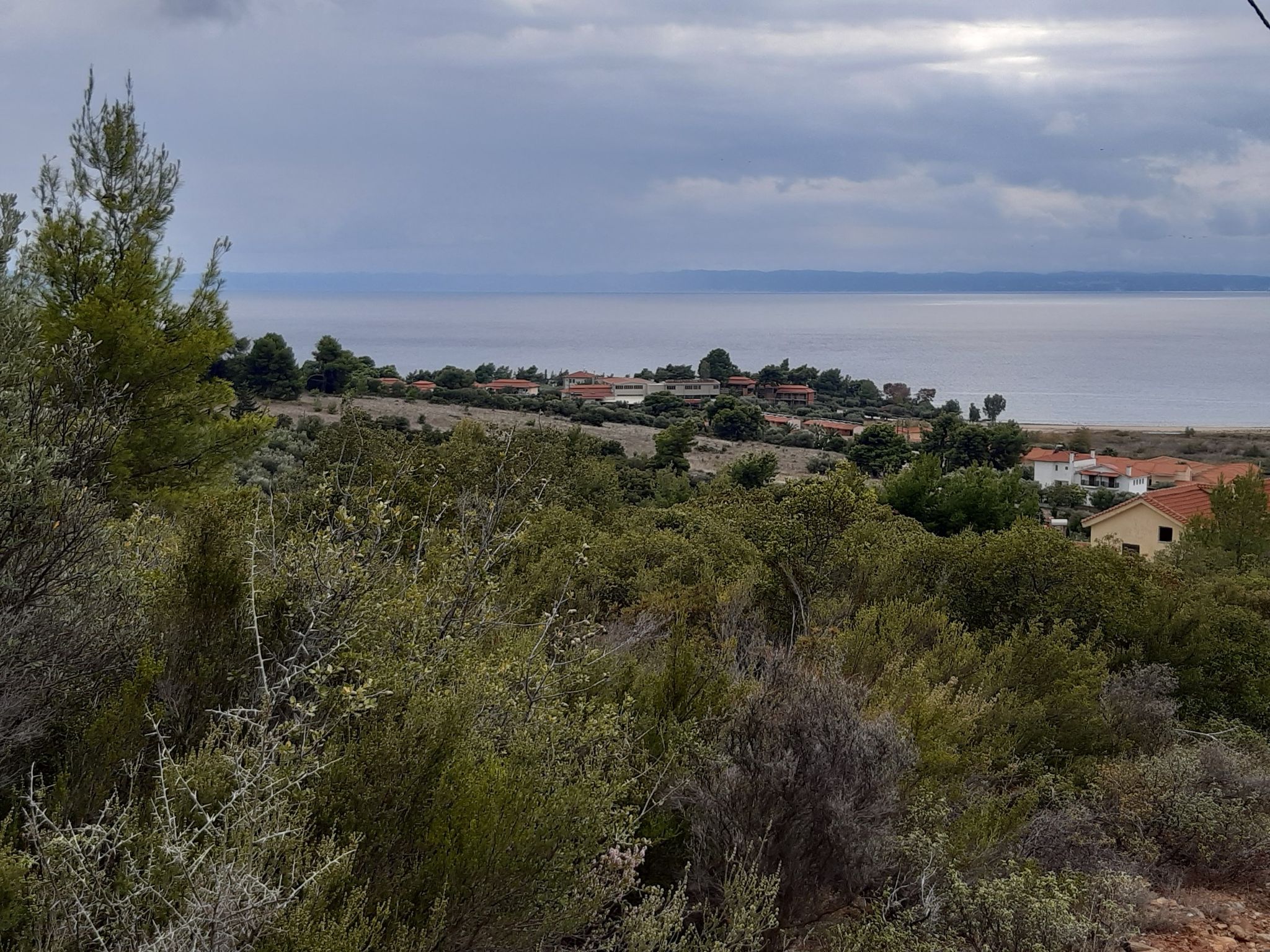 blick auf hotel blue dolphin