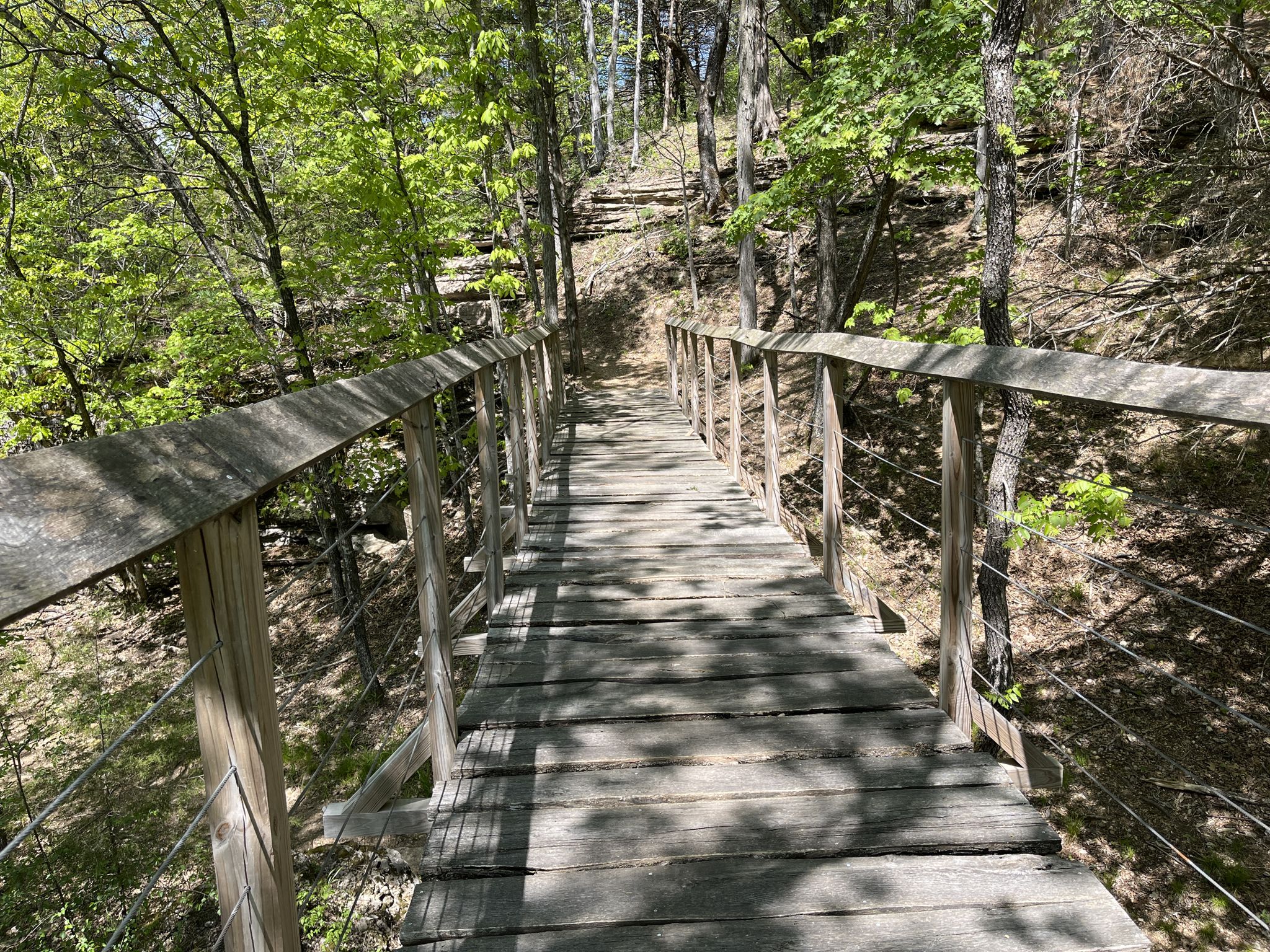 A long wooden bridge with railings extends uphill through a sunny forest. - Slaughter Pen Trails – Crystal Bridges Trail loop from Rob and Melani Walton Nature Preserve
