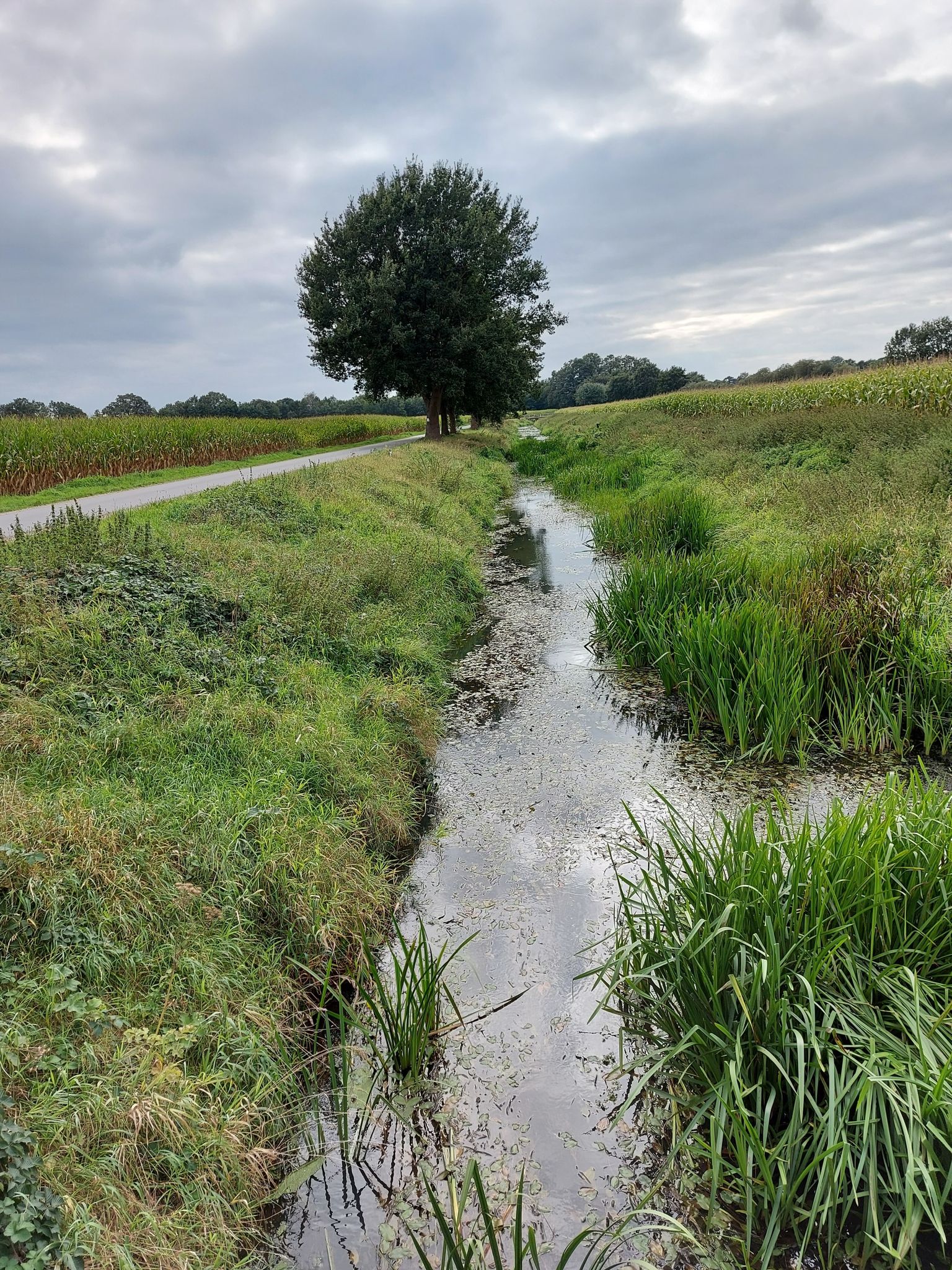 Brücke über die Giegel Aa