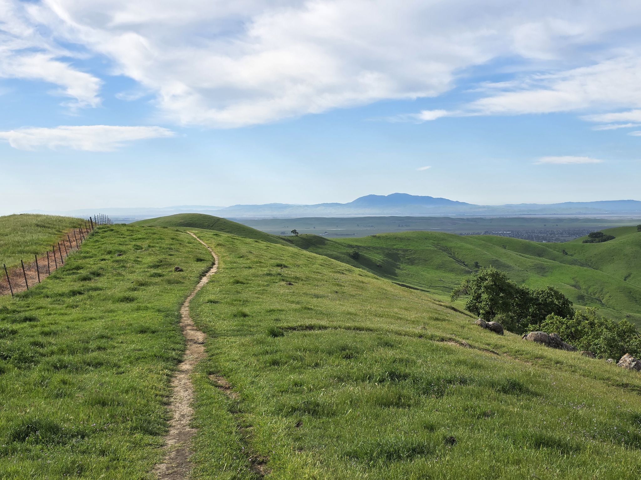 A winding dirt path ascends a vibrant green hill under a bright sky. - Peña Adobe Hill Trail