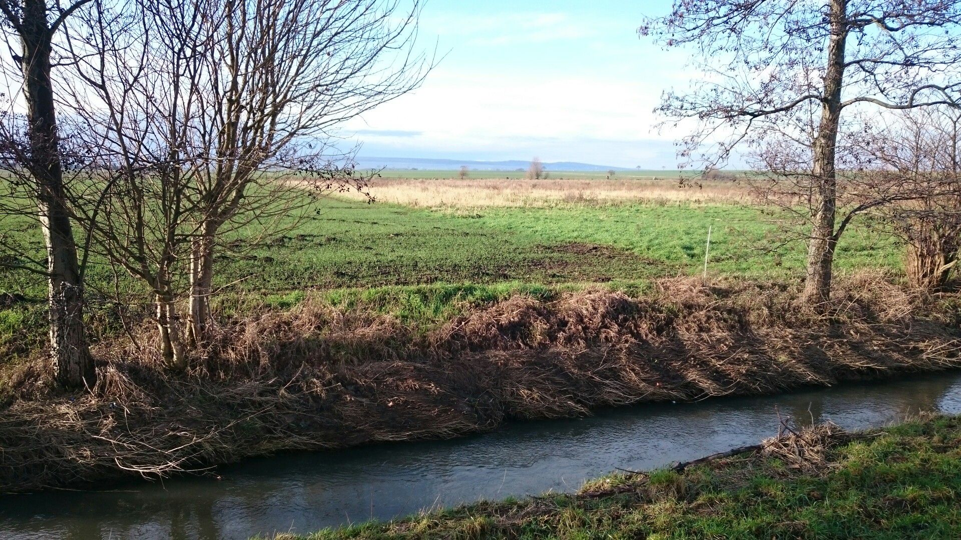 Blickrichtung Königslutter