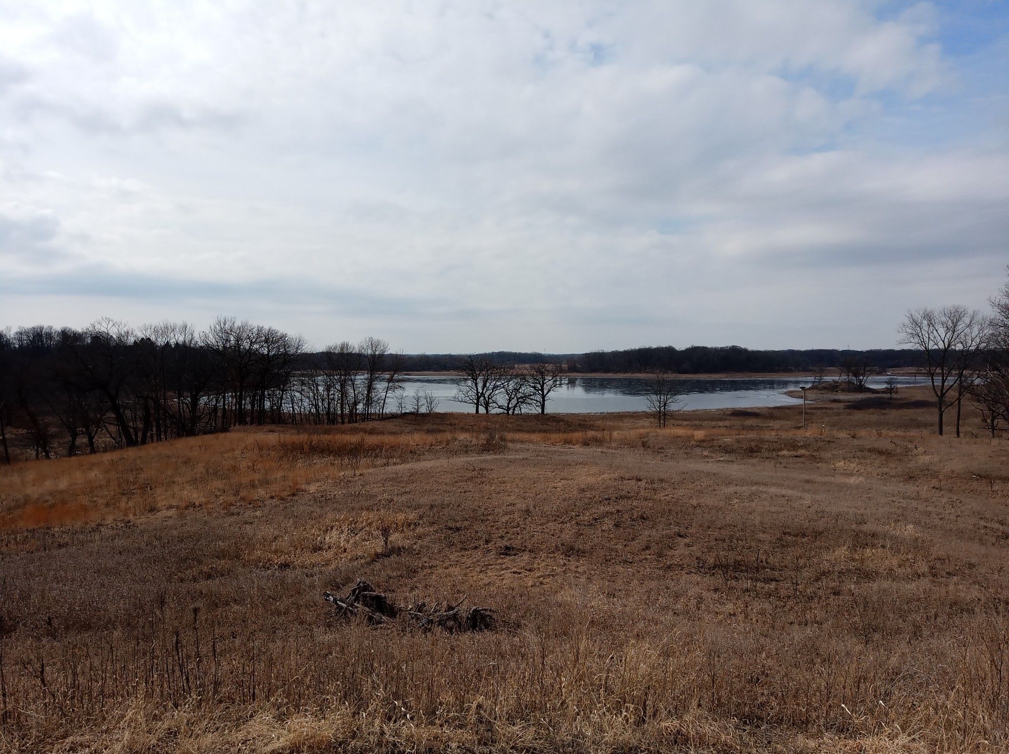 Whitetail Prairie