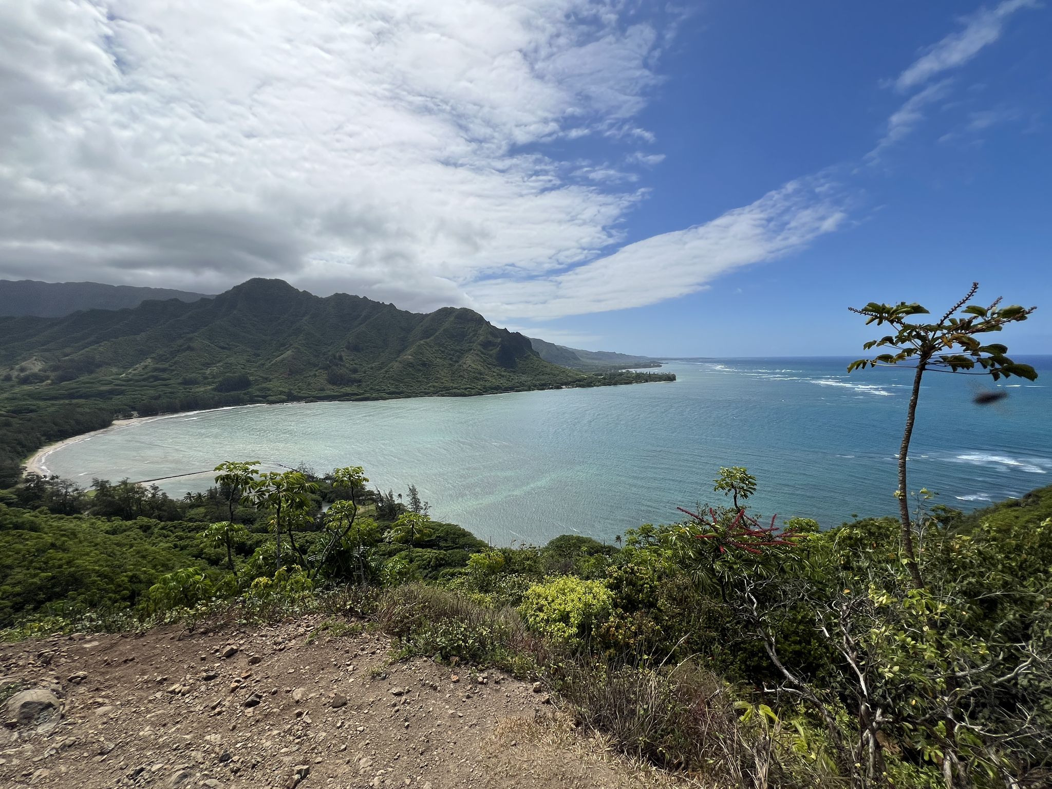 Panoramic view of a bay with green mountains under a partly cloudy sky. - Ridge crest loop from Kaʻaʻawa