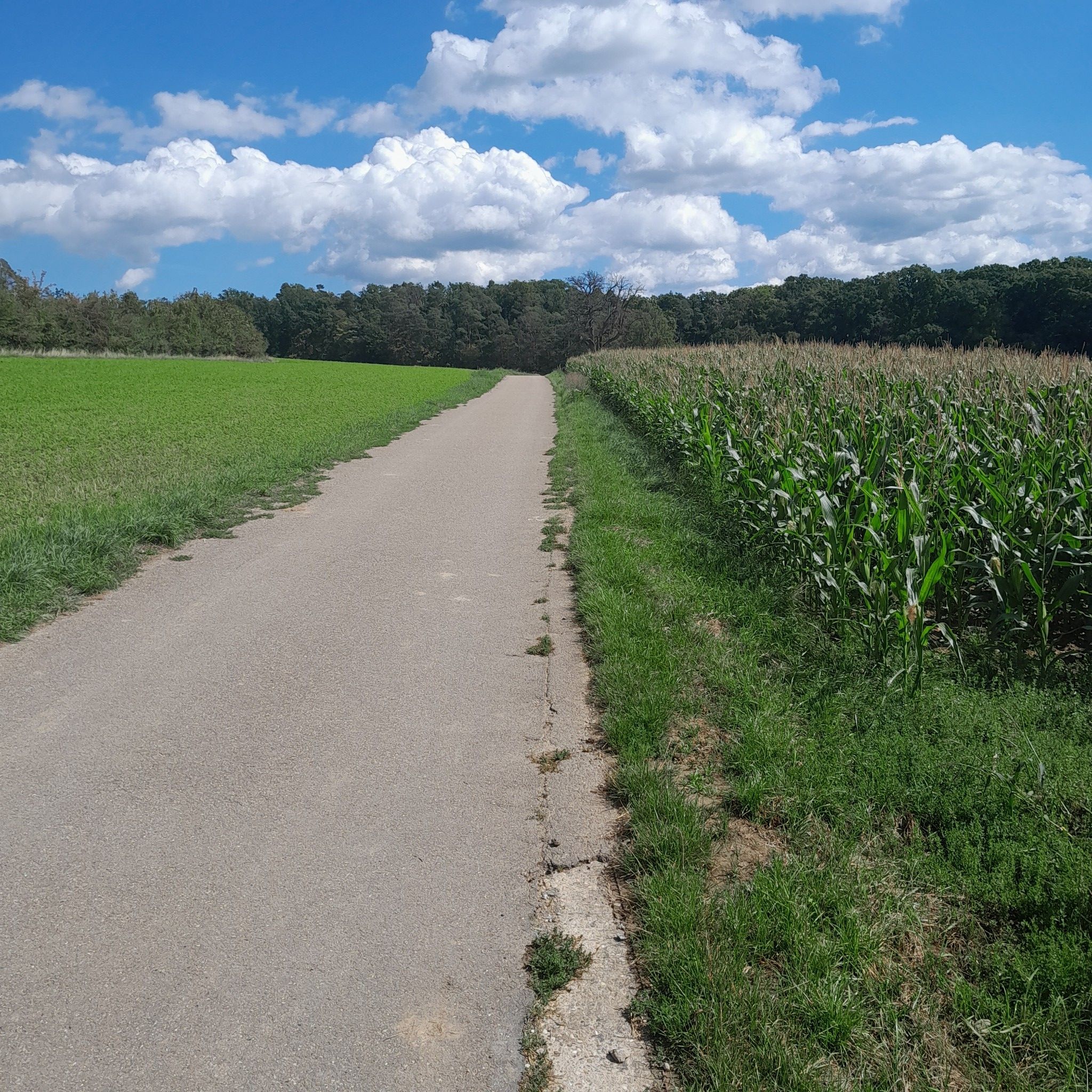 Richtung Gebersheim