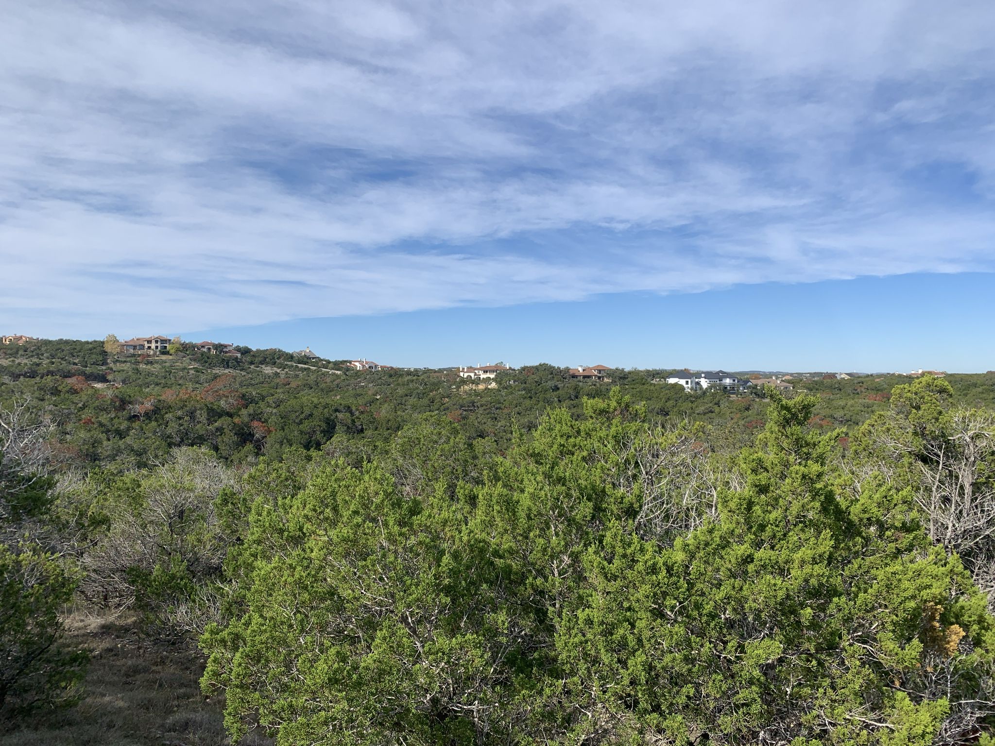 Expansive view of a green, forested landscape under a partly cloudy sky. - Lost Creek Trail Loop