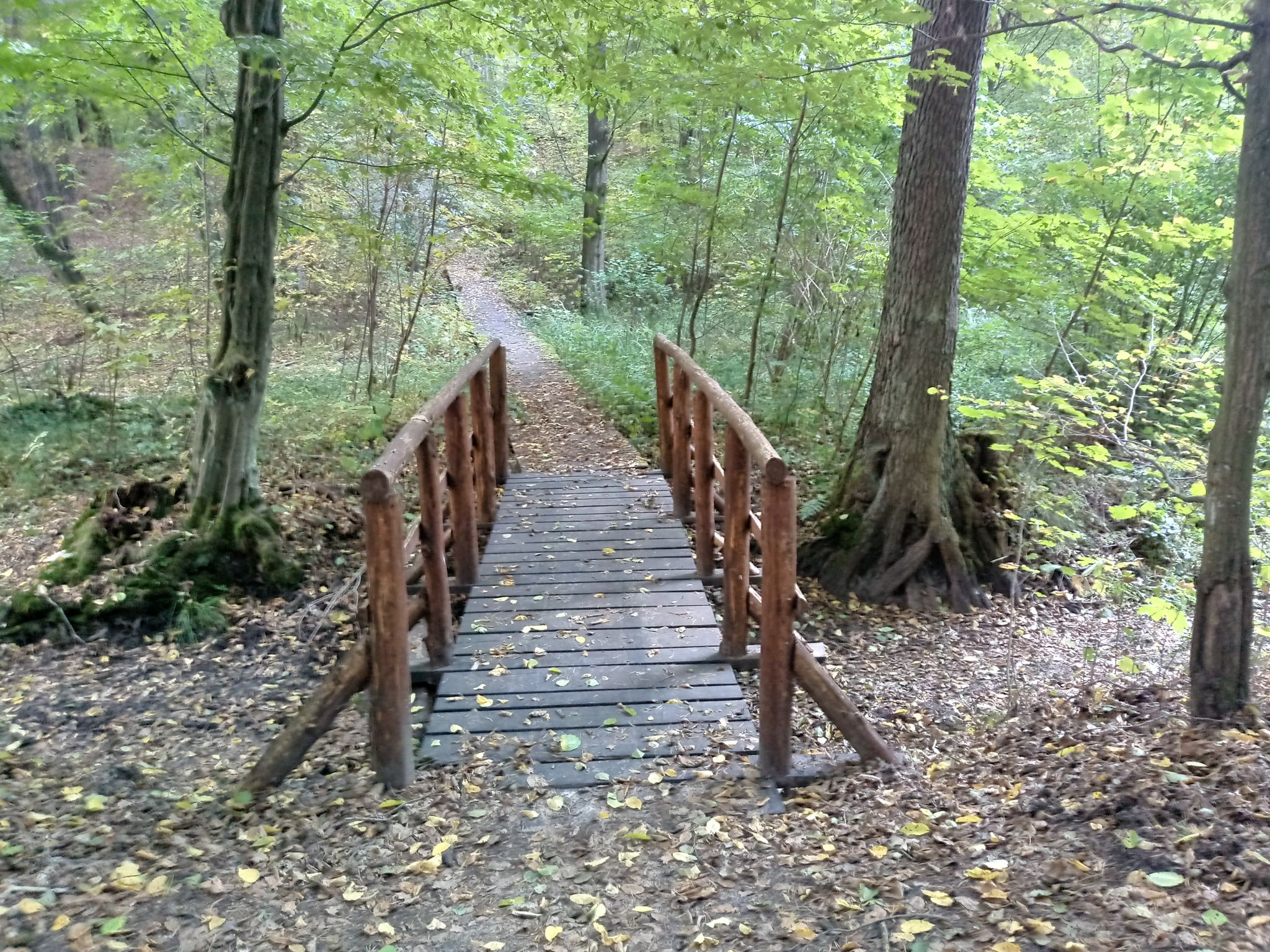 Brücke über die Rzepia