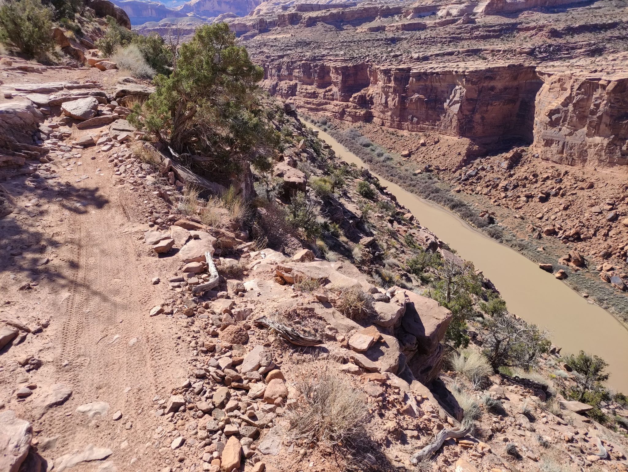 Rocky dirt trail alongside a deep canyon with a muddy river. - Porcupine Rim Singletrack – Colorado River View loop from Porcupine Rim Trailhead Parking