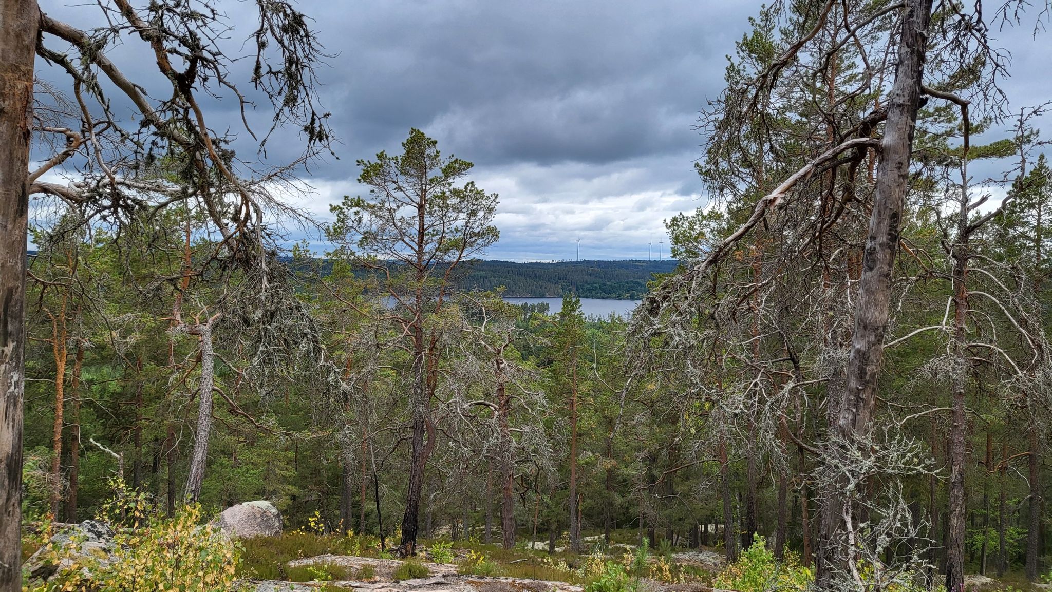 Sjö