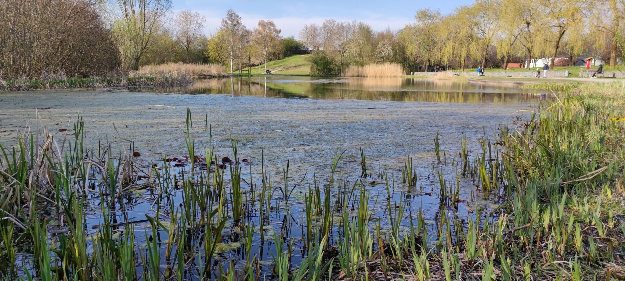 Zornedinger Weiher