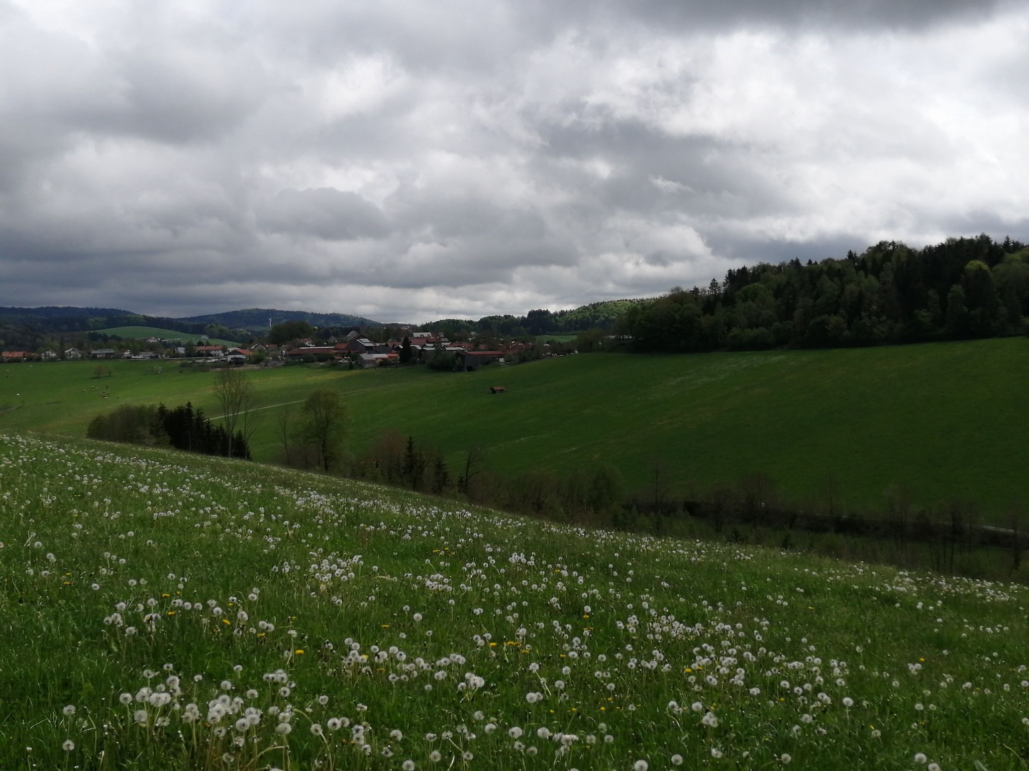 Marienkapelle vor Ensmannsreut Blick nach Böhmzwiesel 