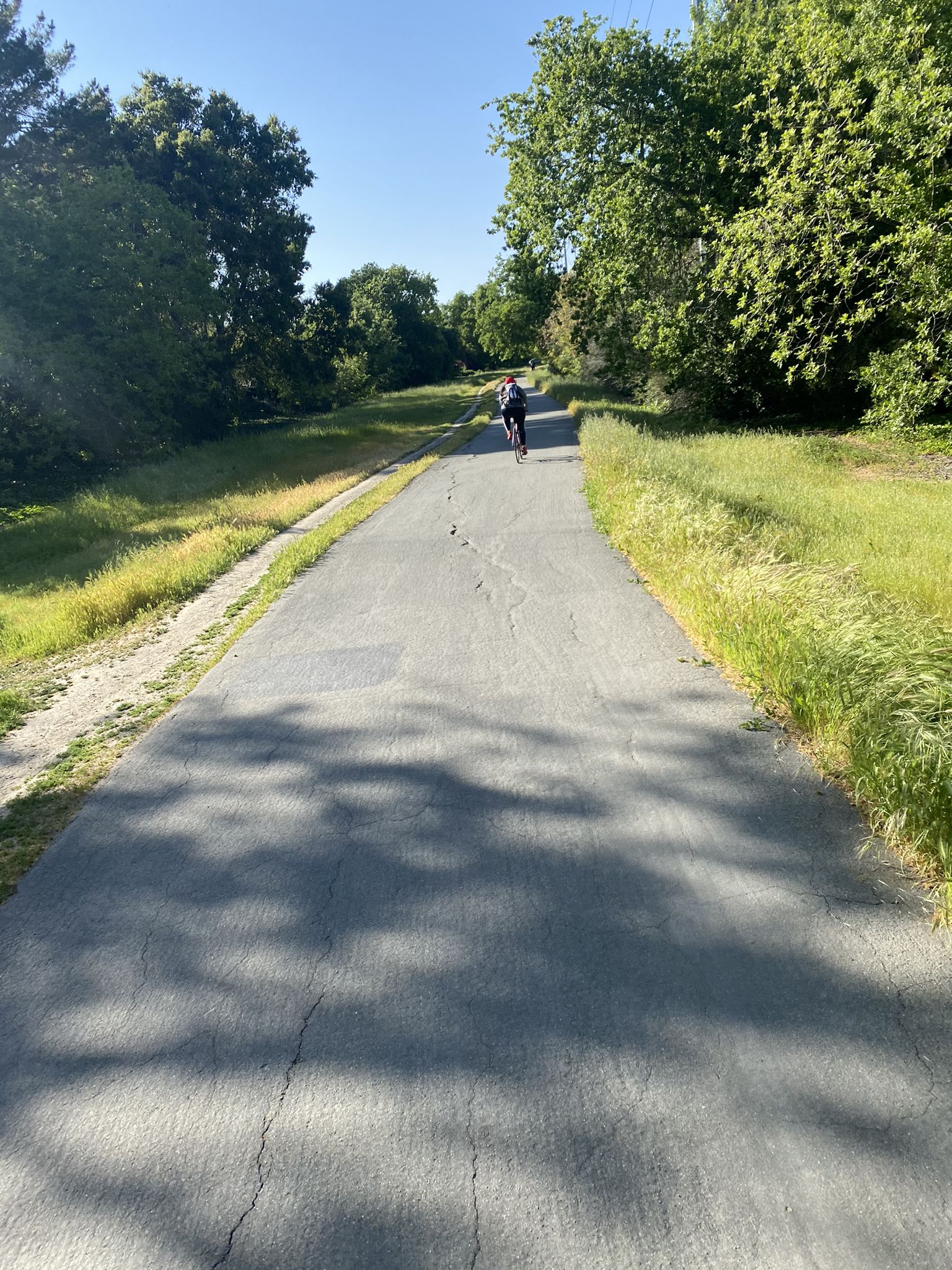 Sunny paved path through green trees, a person cycles away. - Iron Horse Trail and Danville Loop