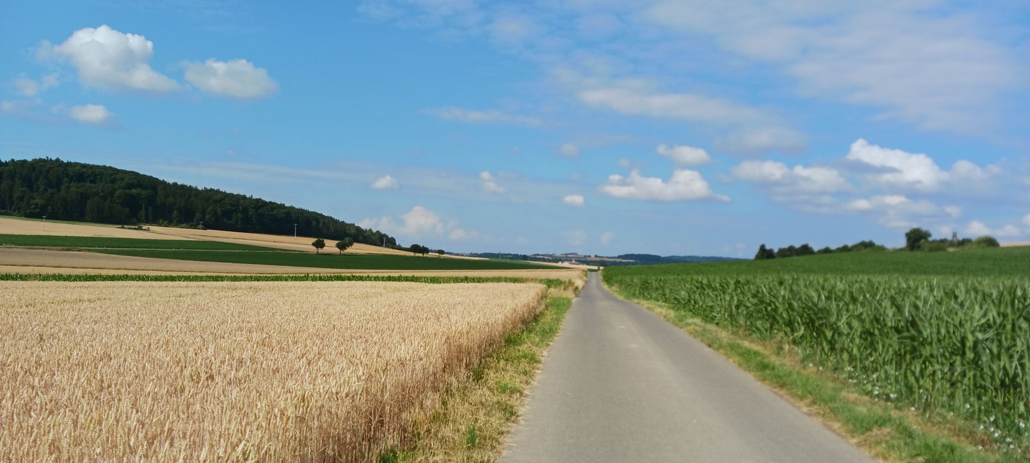 Wirtschaftsweg - zw. Unterwiesenacker u. Prönsdorf