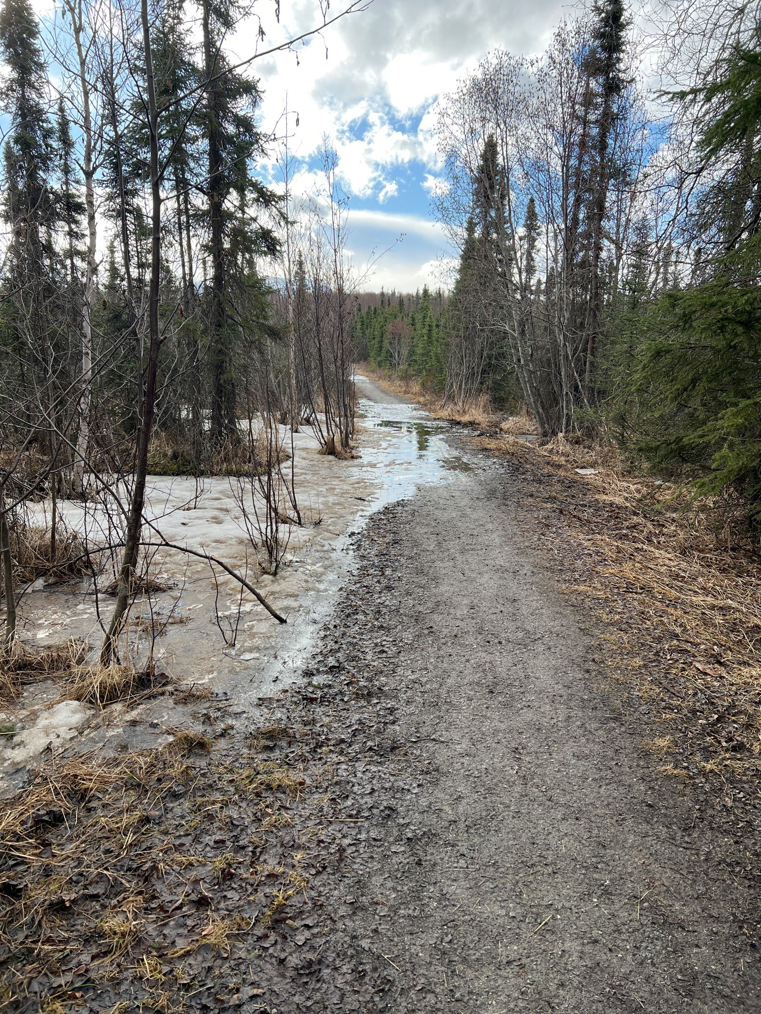 A gravel path runs alongside a partially frozen, flooded forest area under a cloudy sky. - Ruth Arcand Inner Loop