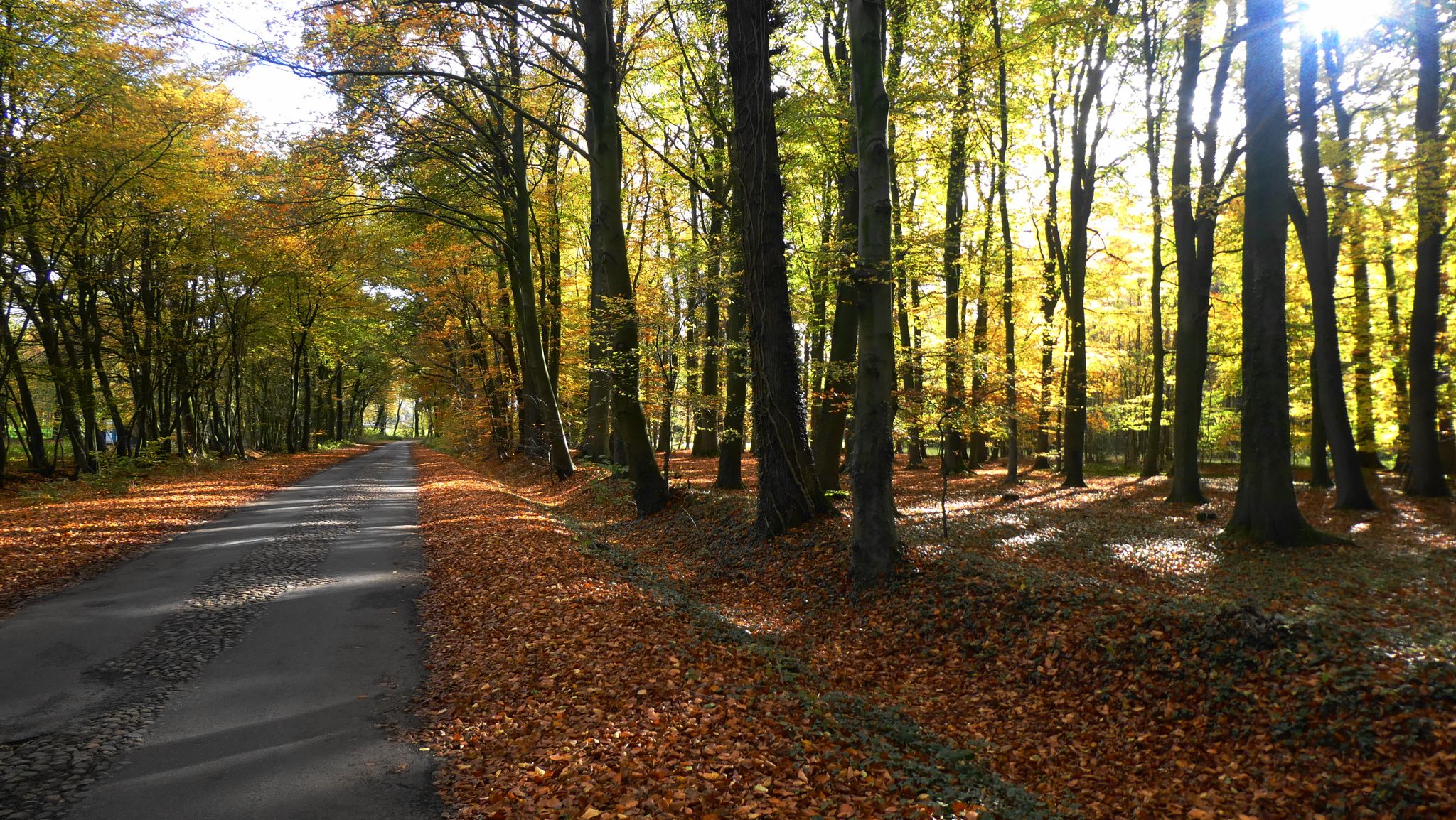 Deinste Golfplatz: Nachmittagssonne