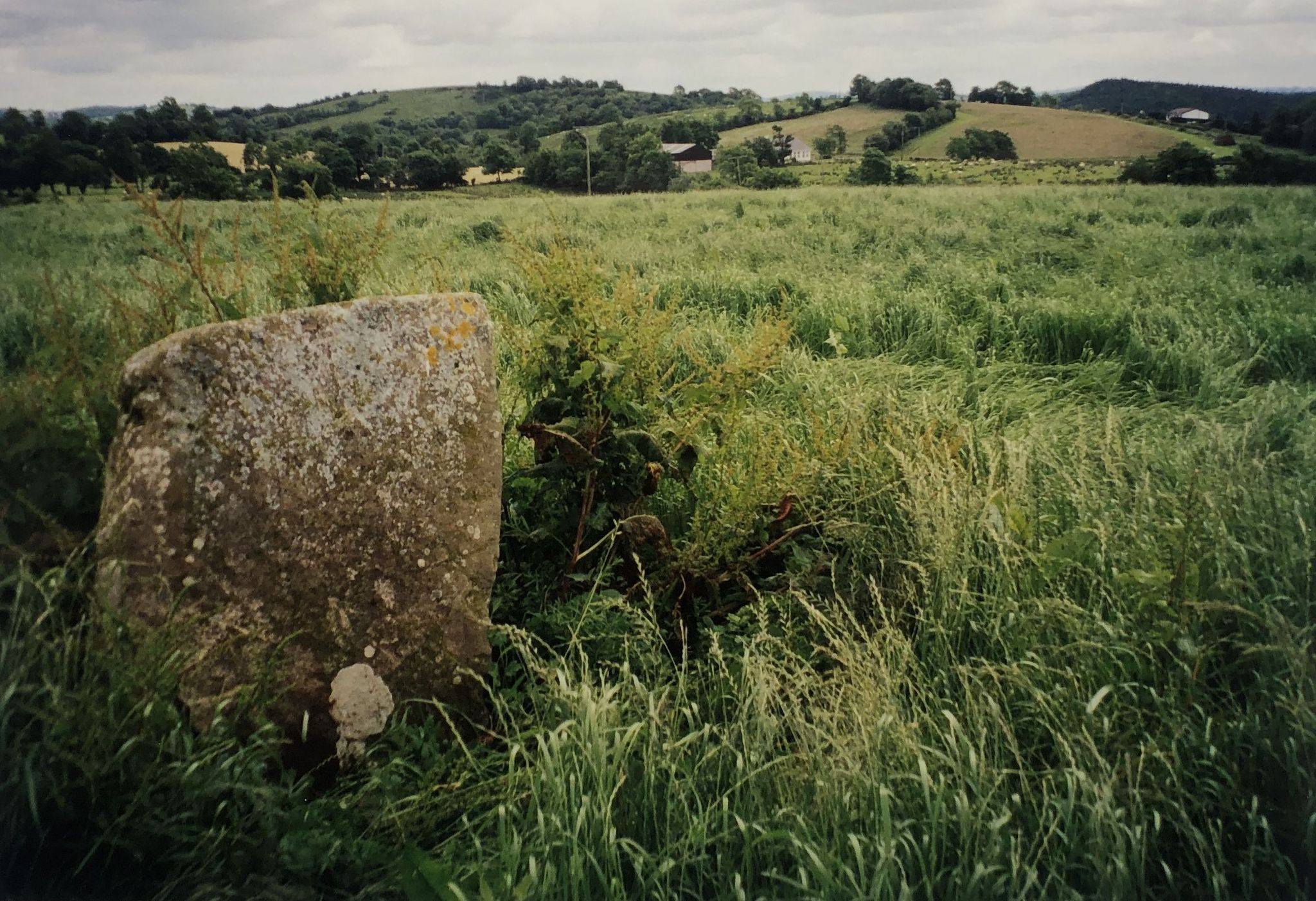 Kesh Standing Stones