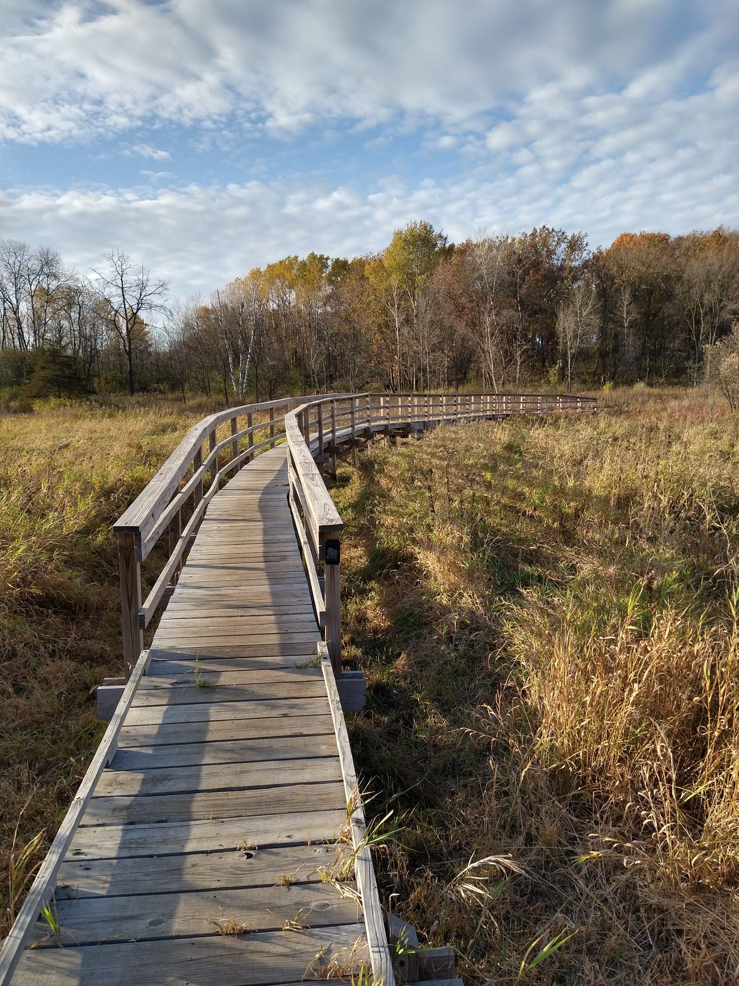 Winding wooden boardwalk through golden marshland under a bright sky. - Ice Age Trail - Merrimac Segment