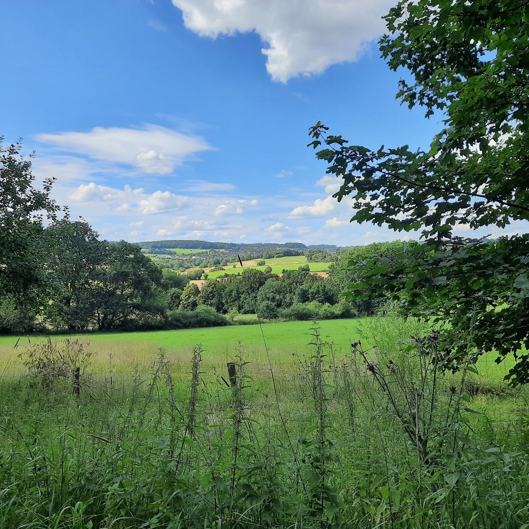 Blick auf Rennerod