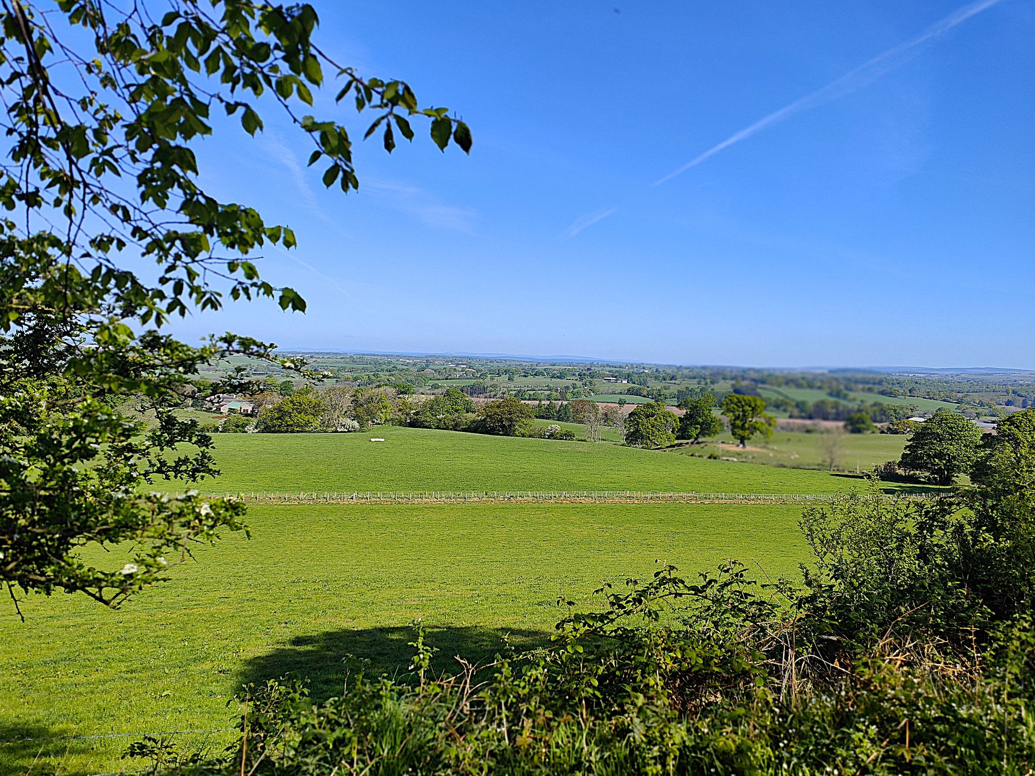 View from Tin Barn Lonning