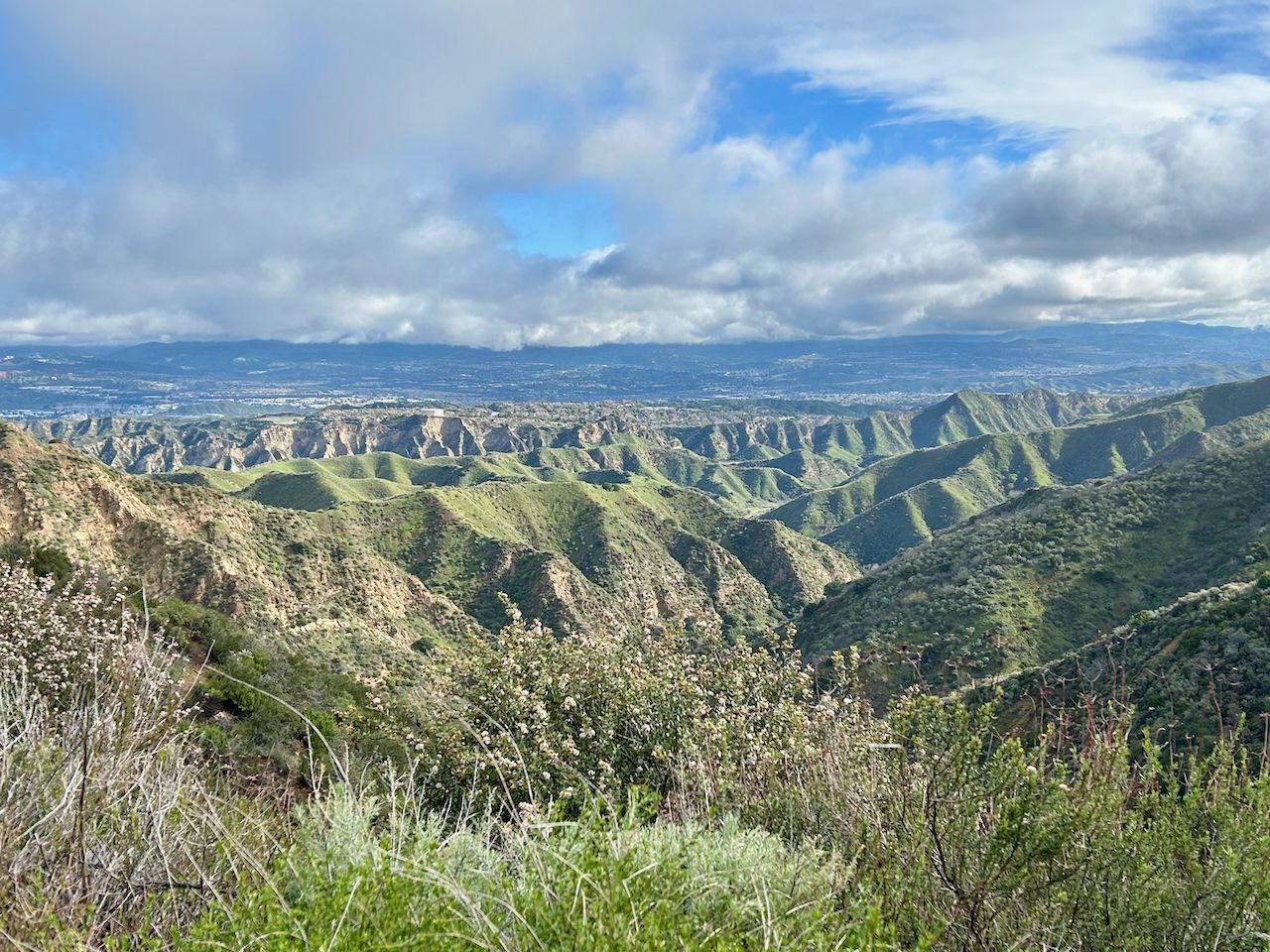Expansive view of rolling green hills and valleys under a partly cloudy sky. - Pico Canyon Trail, Johnson Park, and Minne-Lotta Trail Loop