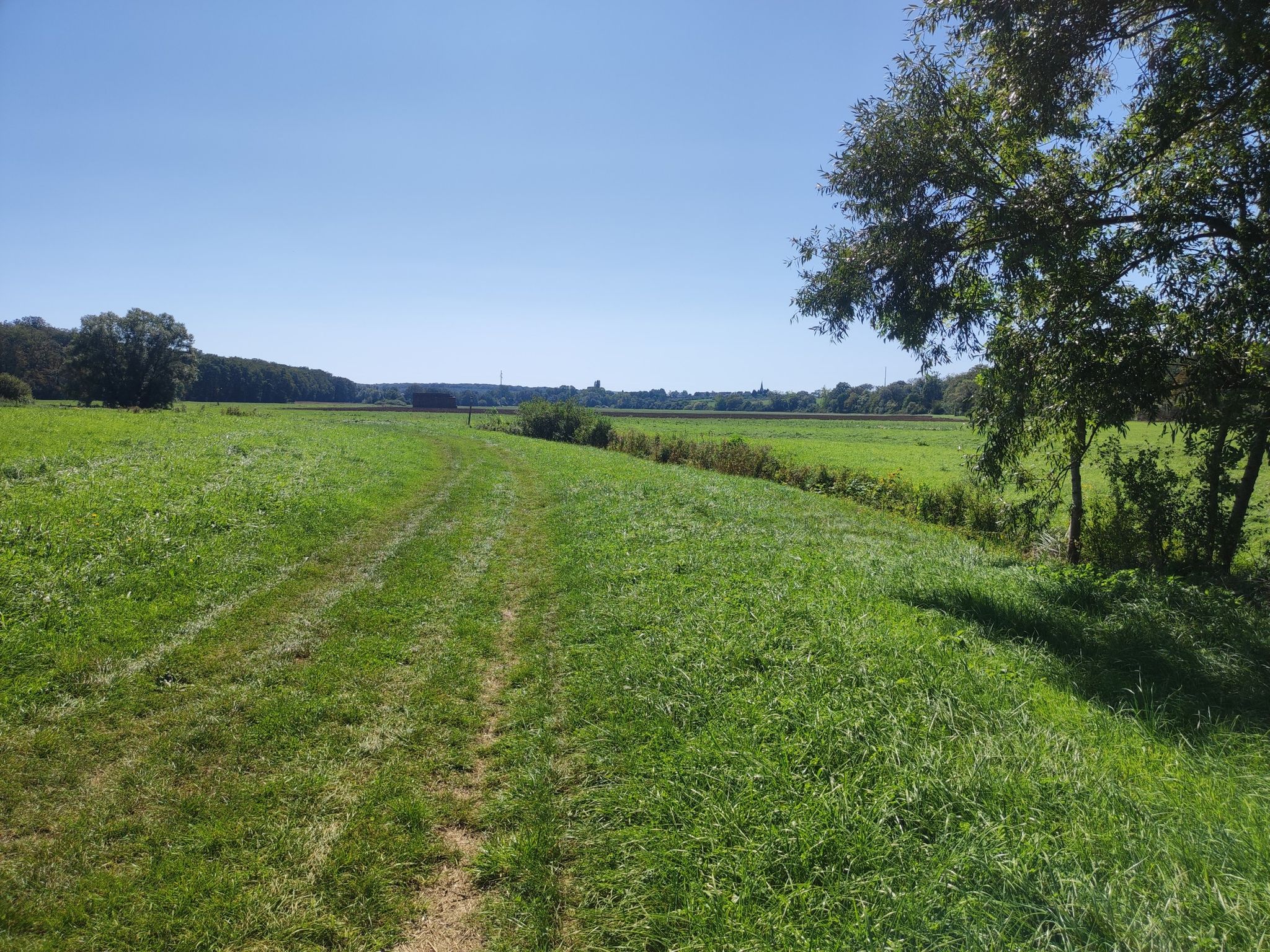 La campagne, pas de bruit