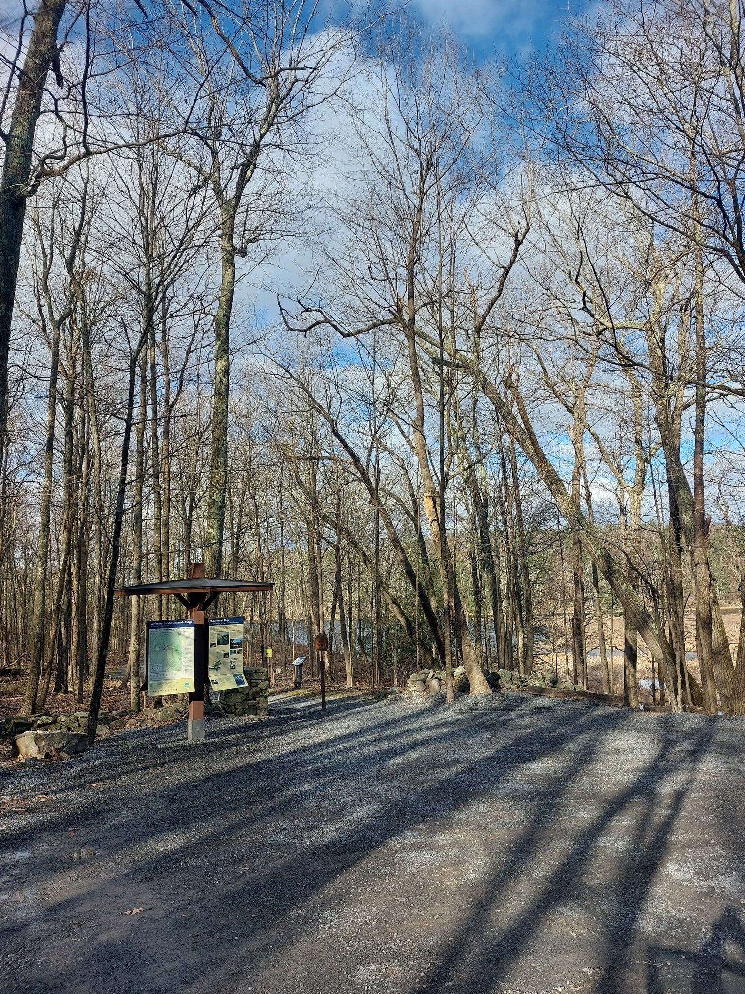 Bare trees line a gravel path with an information sign, casting long shadows. - Shaupeneak Ridge loop from Esopus