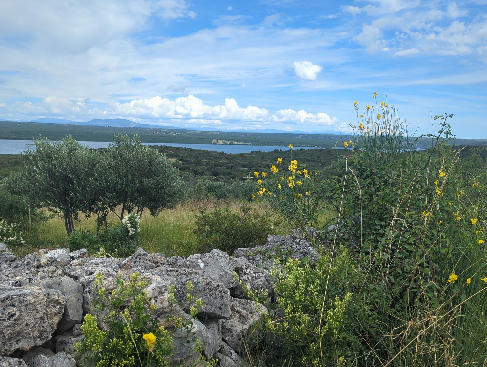 wieder Mal ein Blick auf den See 