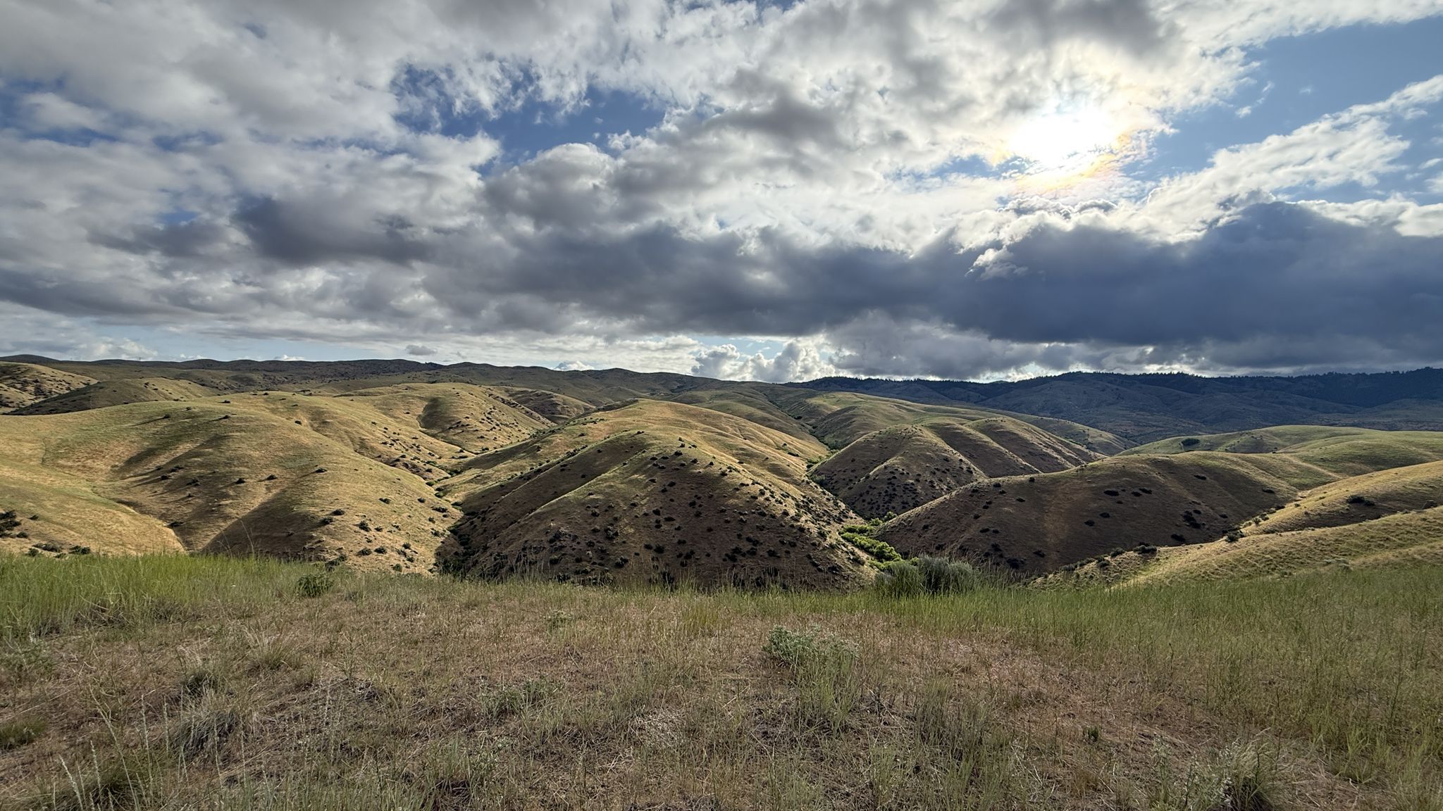 Rolling hills with dry grass under a partly cloudy sky with sun peeking through. - Spring Valley Creek Trail – Harlow's Hollows Trail loop from Foothills Heritage Park