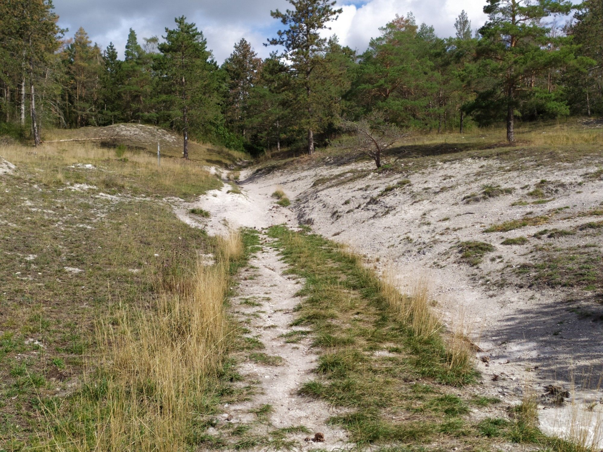 die Gippskuppe