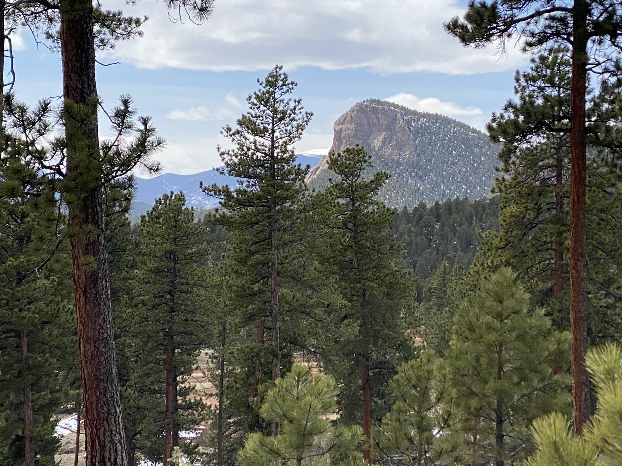 Pine forest framing a large, rounded mountain peak under a partly cloudy sky. - Upper Trailhead loop from Staunton State Park Vistor Center