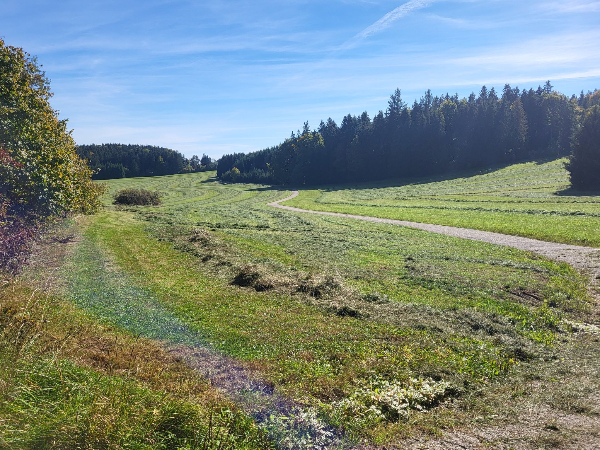 Blick zurück Richtung Bubsheim, Fahrtrichtung Wehingen.