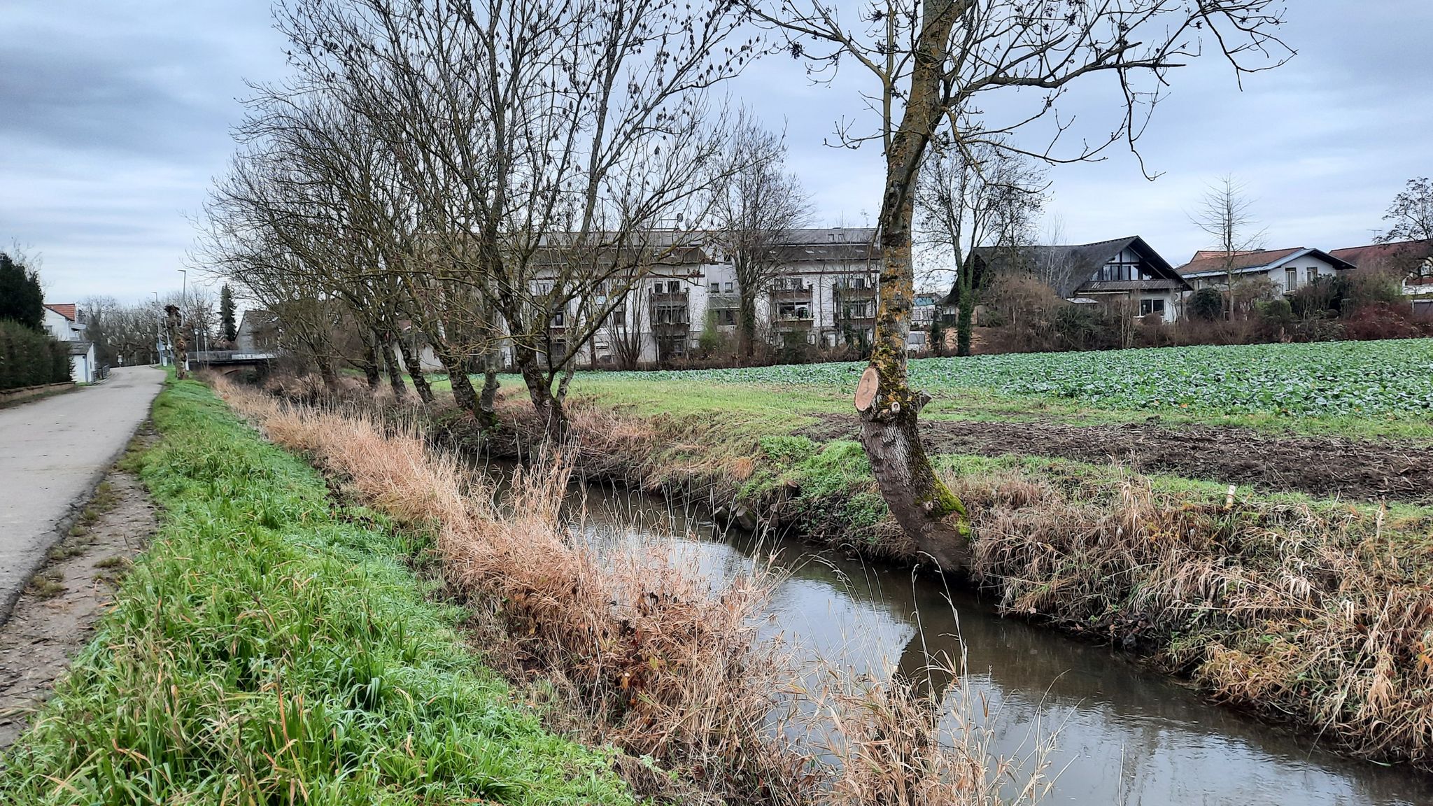 Am Otterbach bei Neupotz