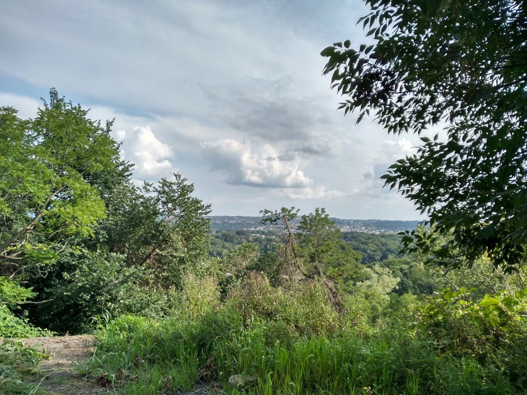 Overlook of a green, forested valley under a cloudy sky. - Iron Gate Trail – Footpath along Nine Mile Run stream loop from Allegheny Cemetery