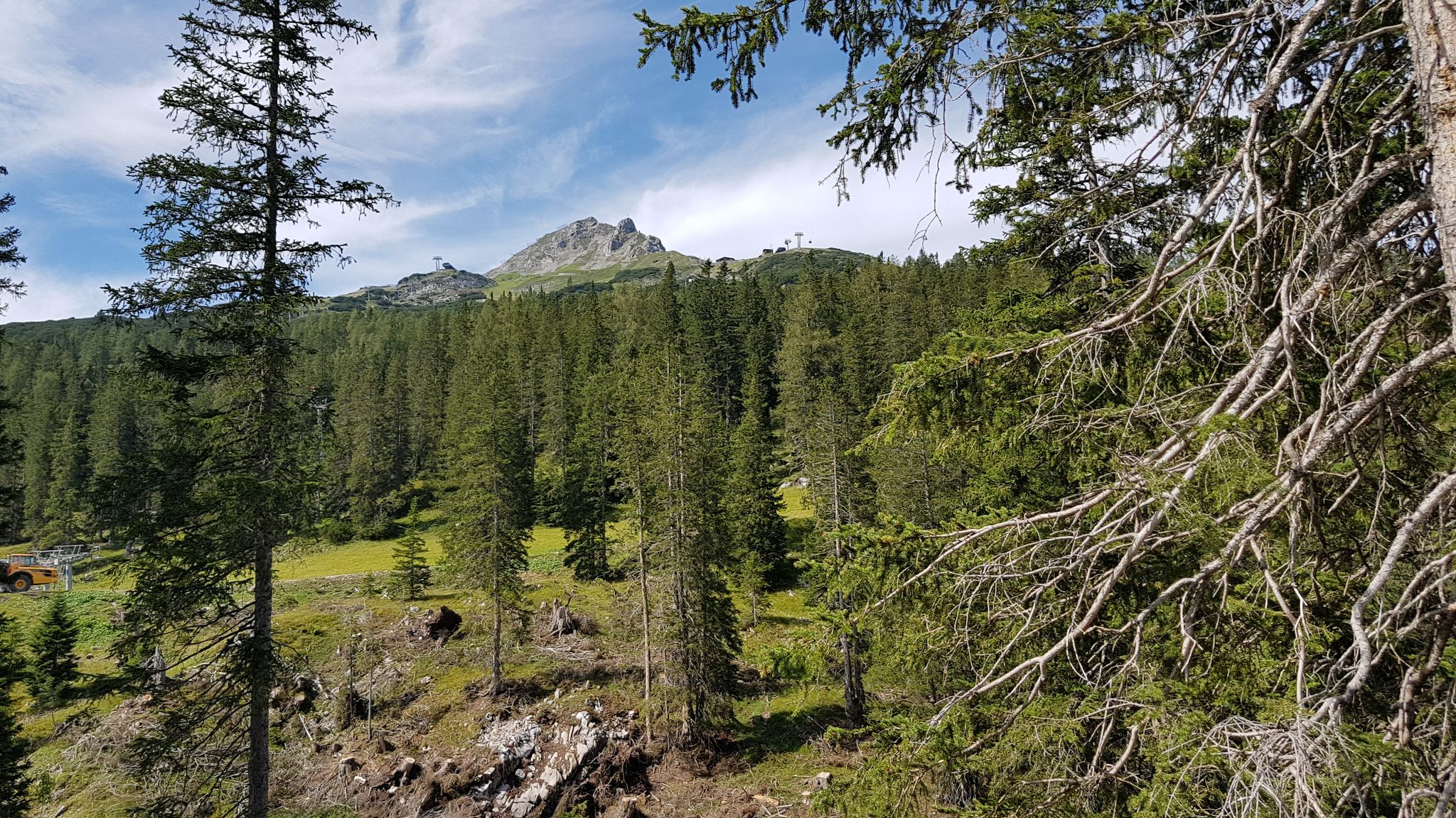 Blick auf den Grubigstein