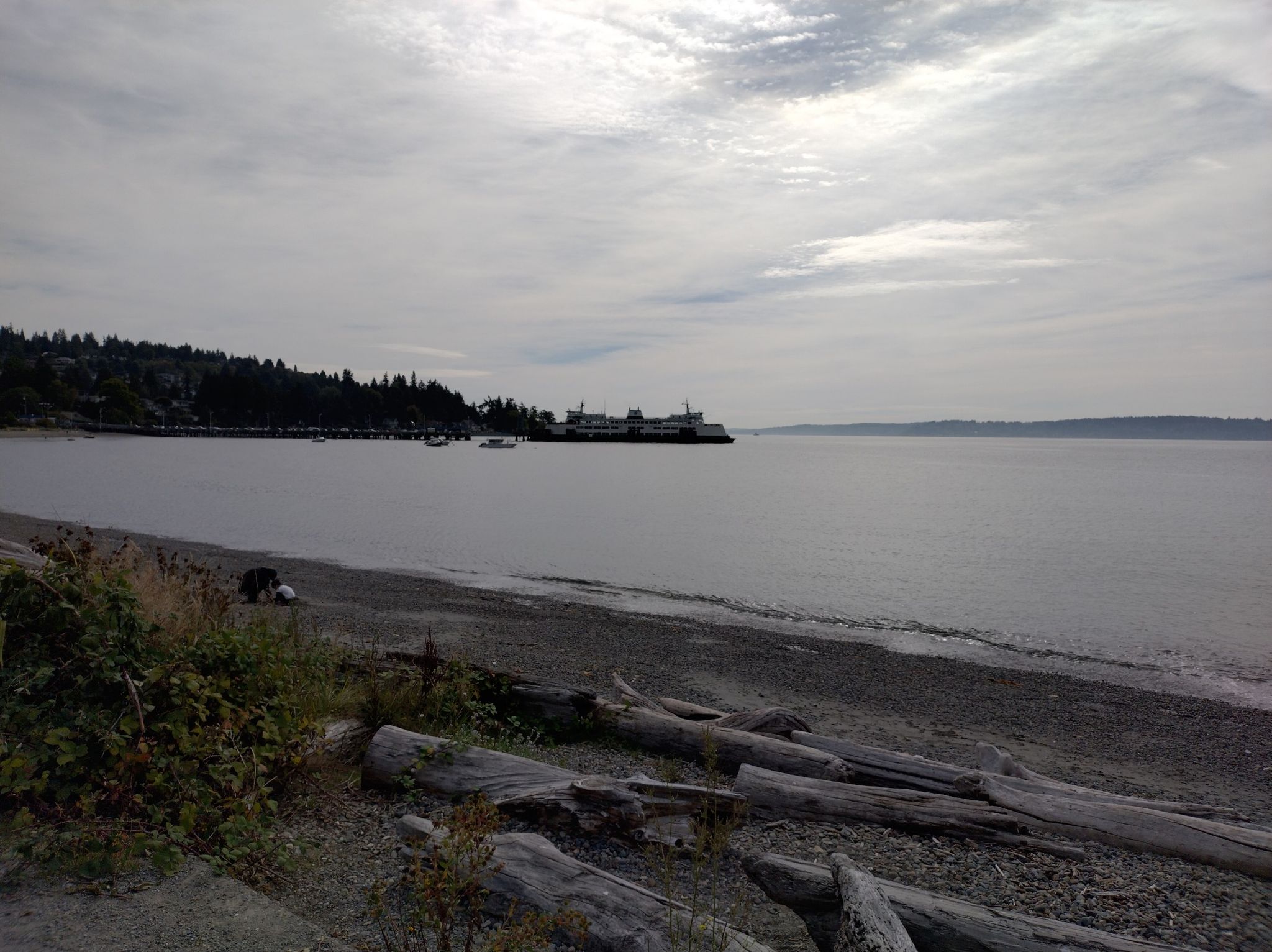 Overcast day at a pebble beach with driftwood and distant pier. - Lincoln Park Trail loop