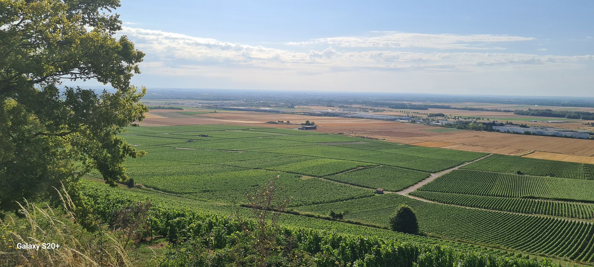 vu de montgueux