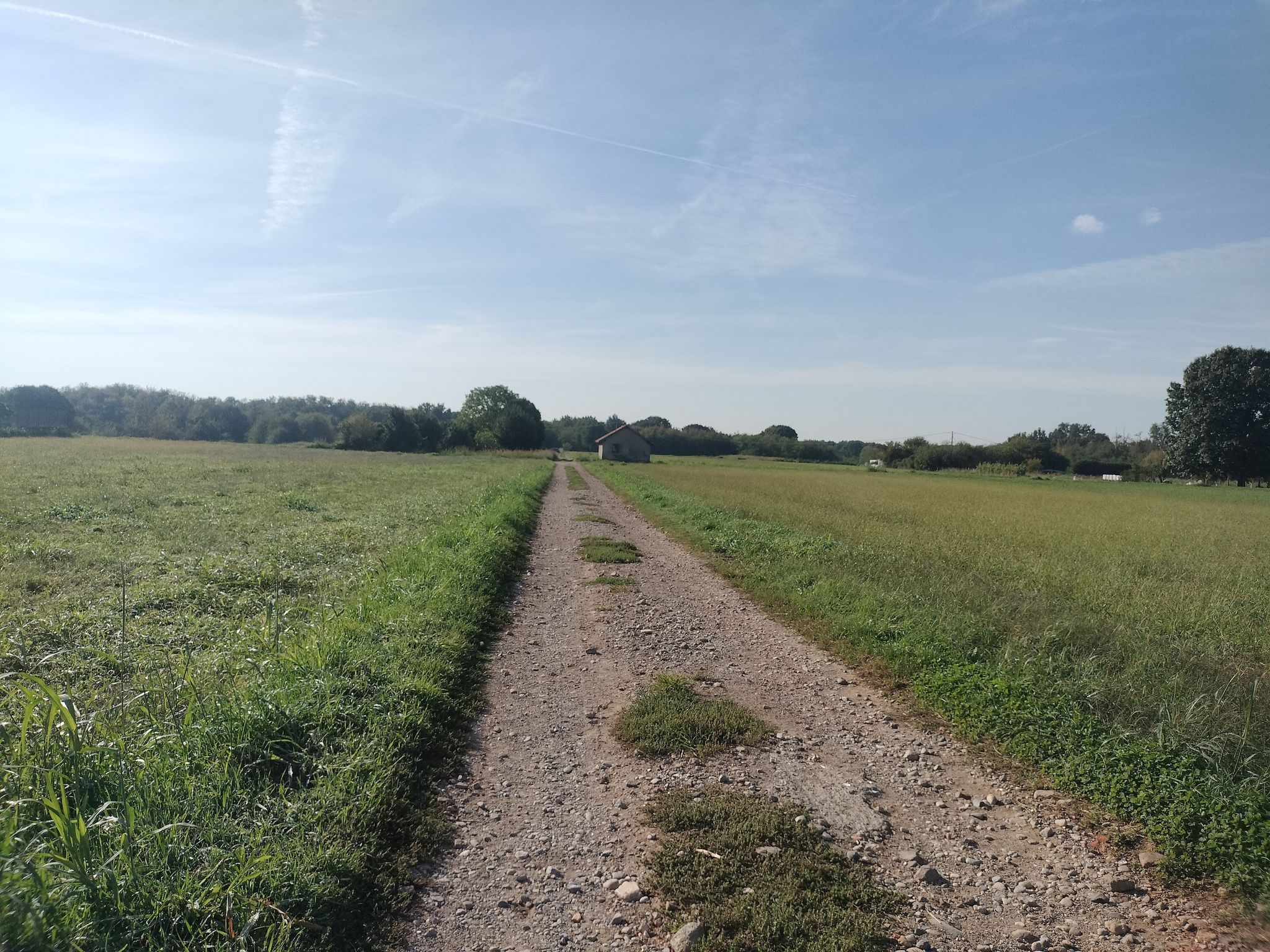 Carrareccia a Camparada.