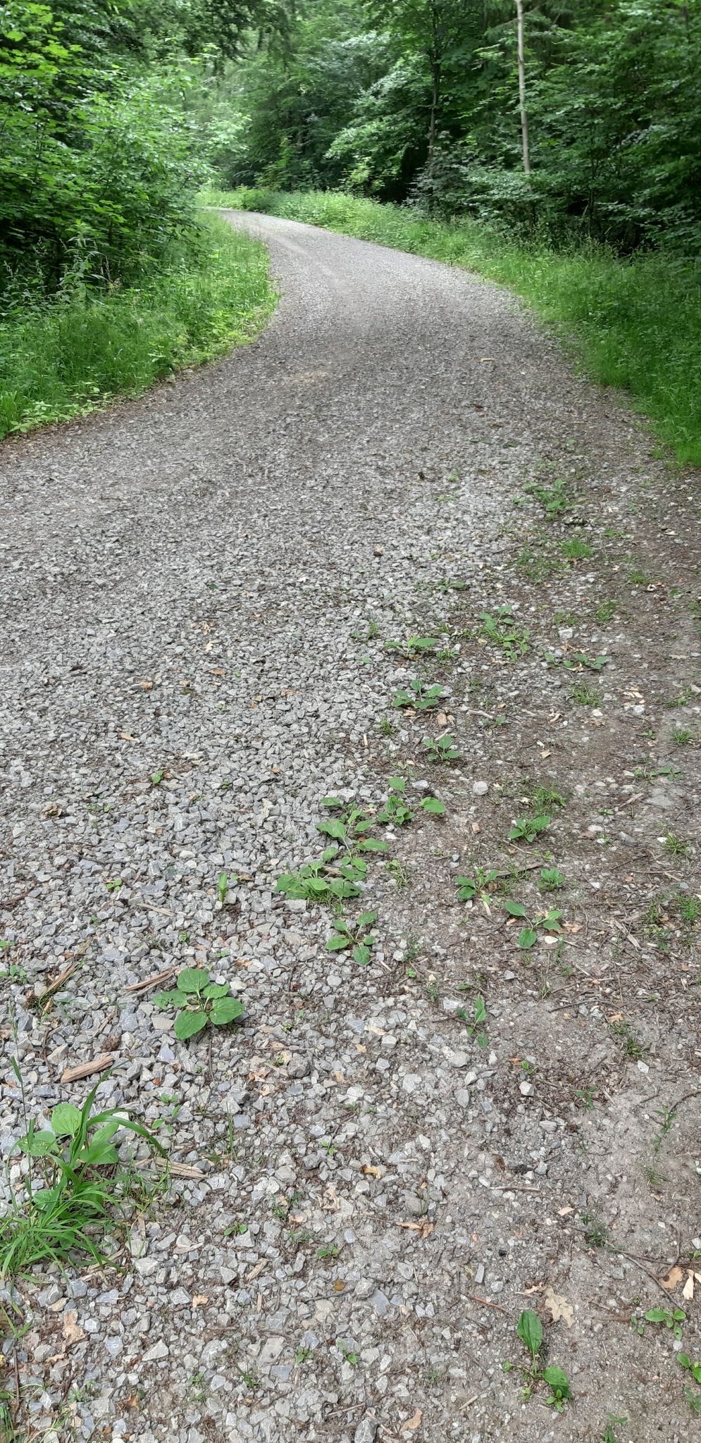 sieht neu aus