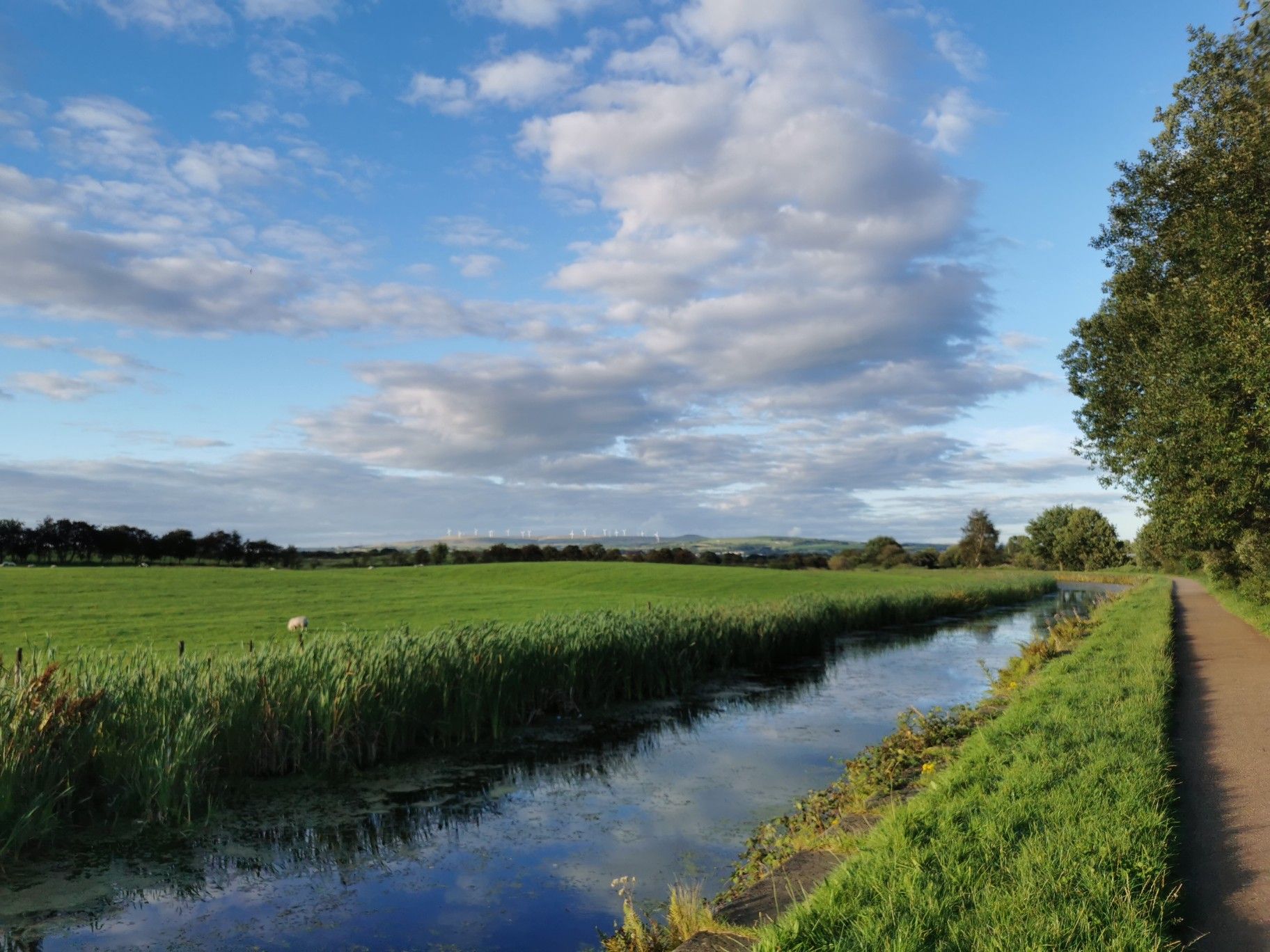 Radcliffe canal section 