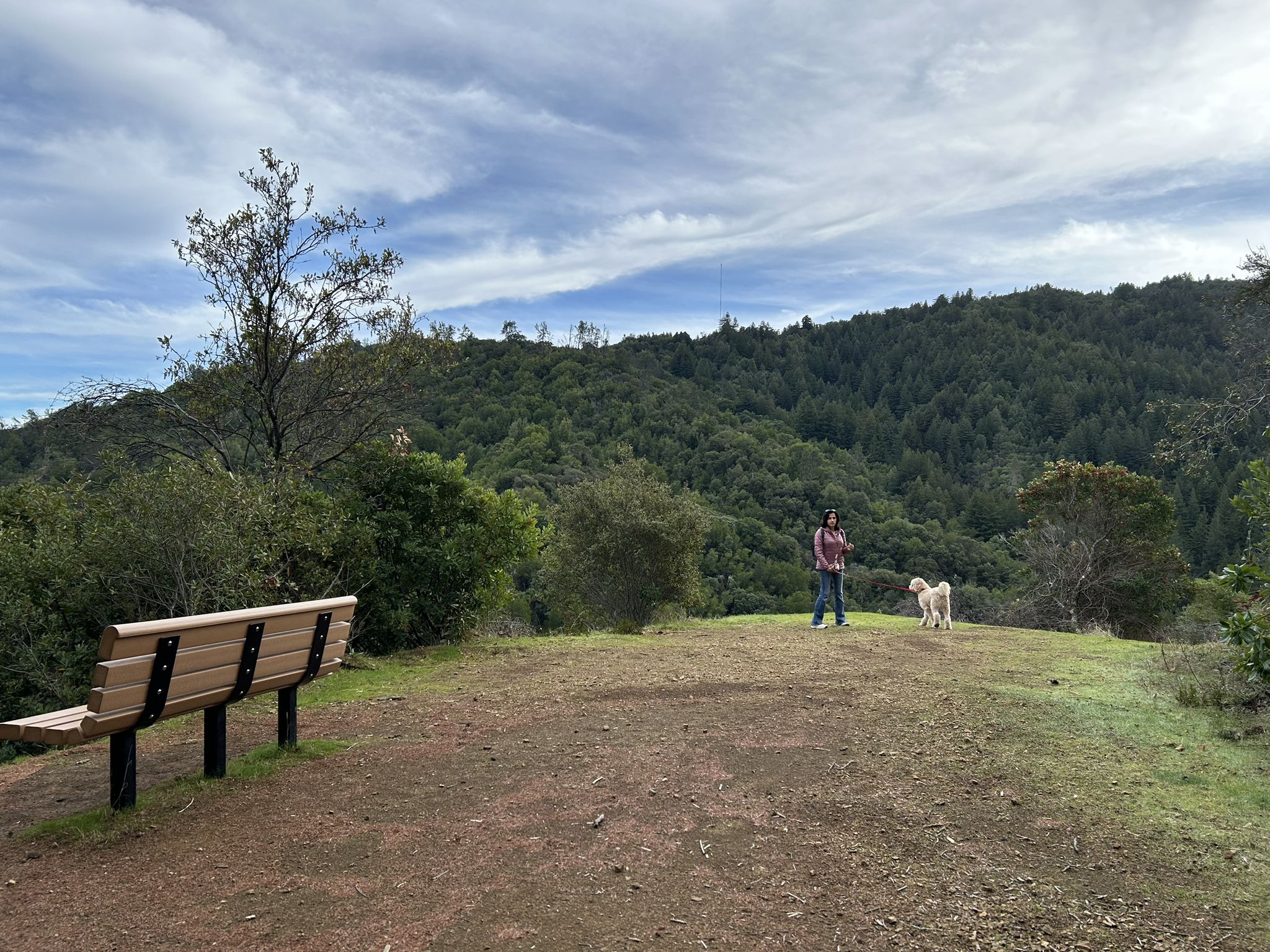 Person and dog on a grassy hilltop overlooking a forested valley. - Upper, Basin, and Black Rock Falls via Contour and Waterfall Loop