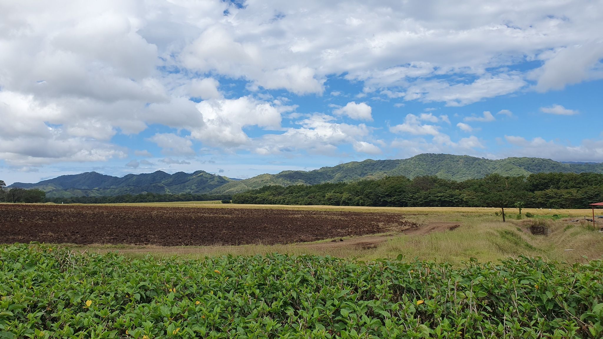Carretera bonita