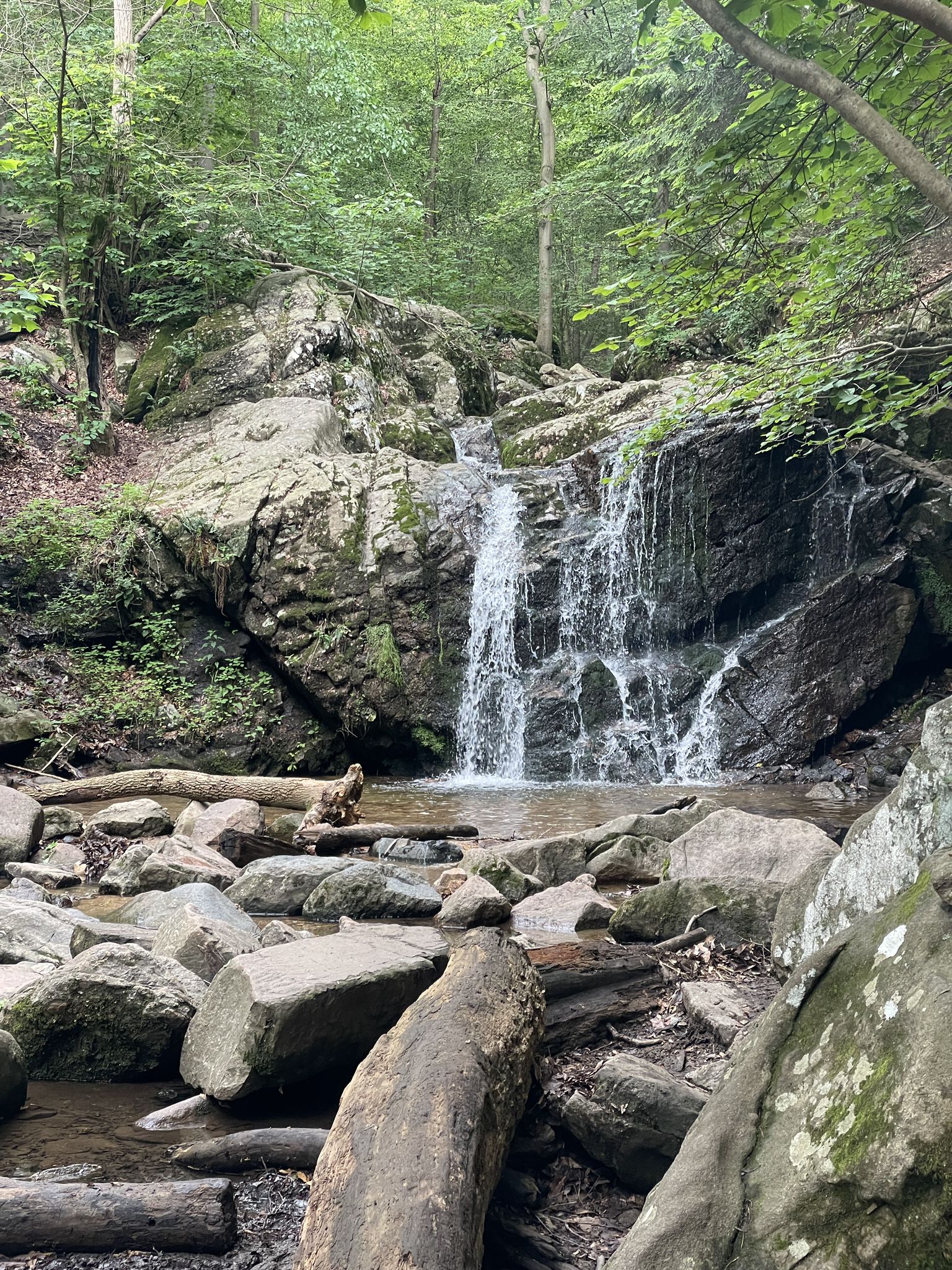 A waterfall cascades over mossy rocks into a stream in a lush forest. - Avalon Area – Cascade Falls loop from Elkridge