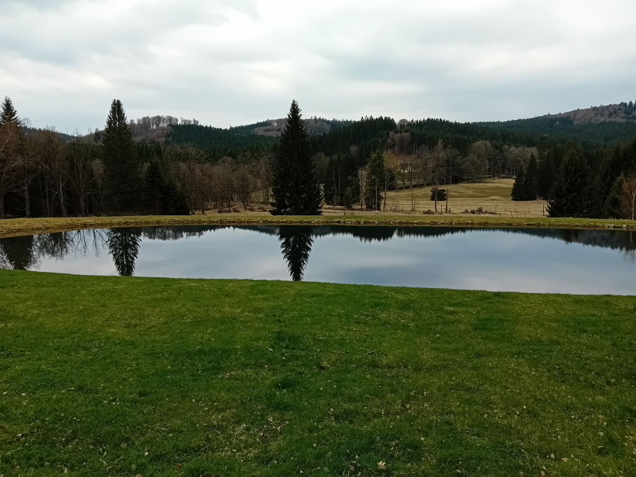 Teich in Zofin