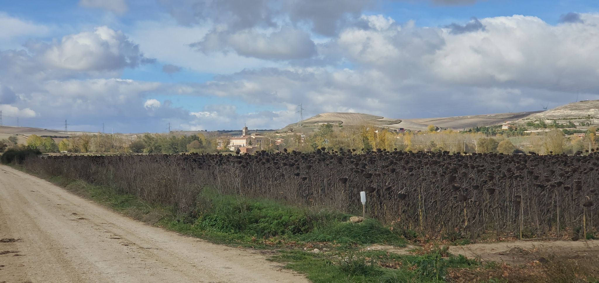 Rabé de las Calzadas