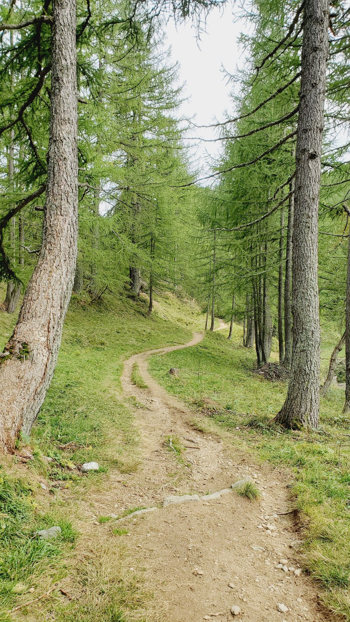 Quasi arrivati a Piedemonte...
