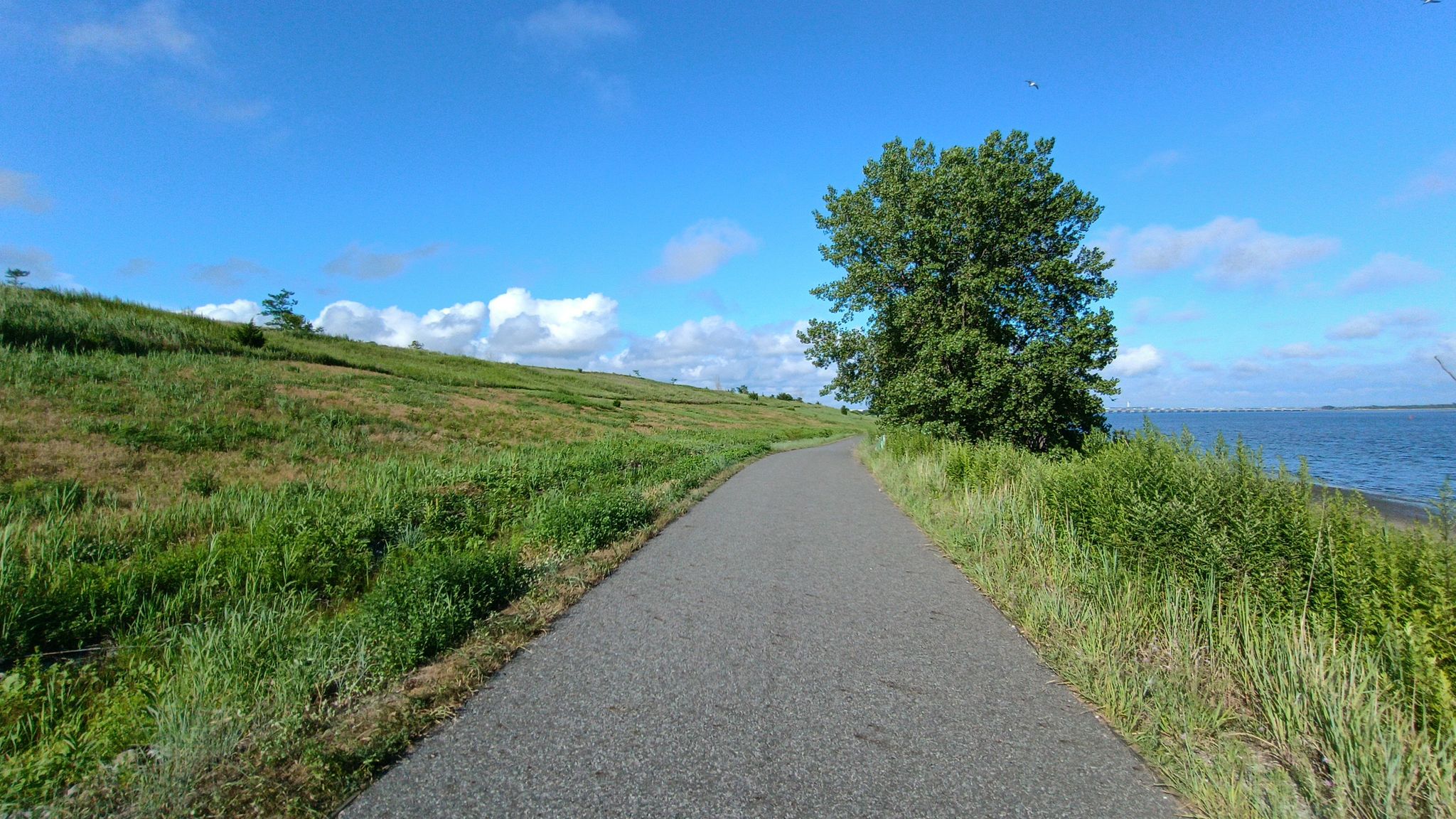 Shirley Chisholm State Park