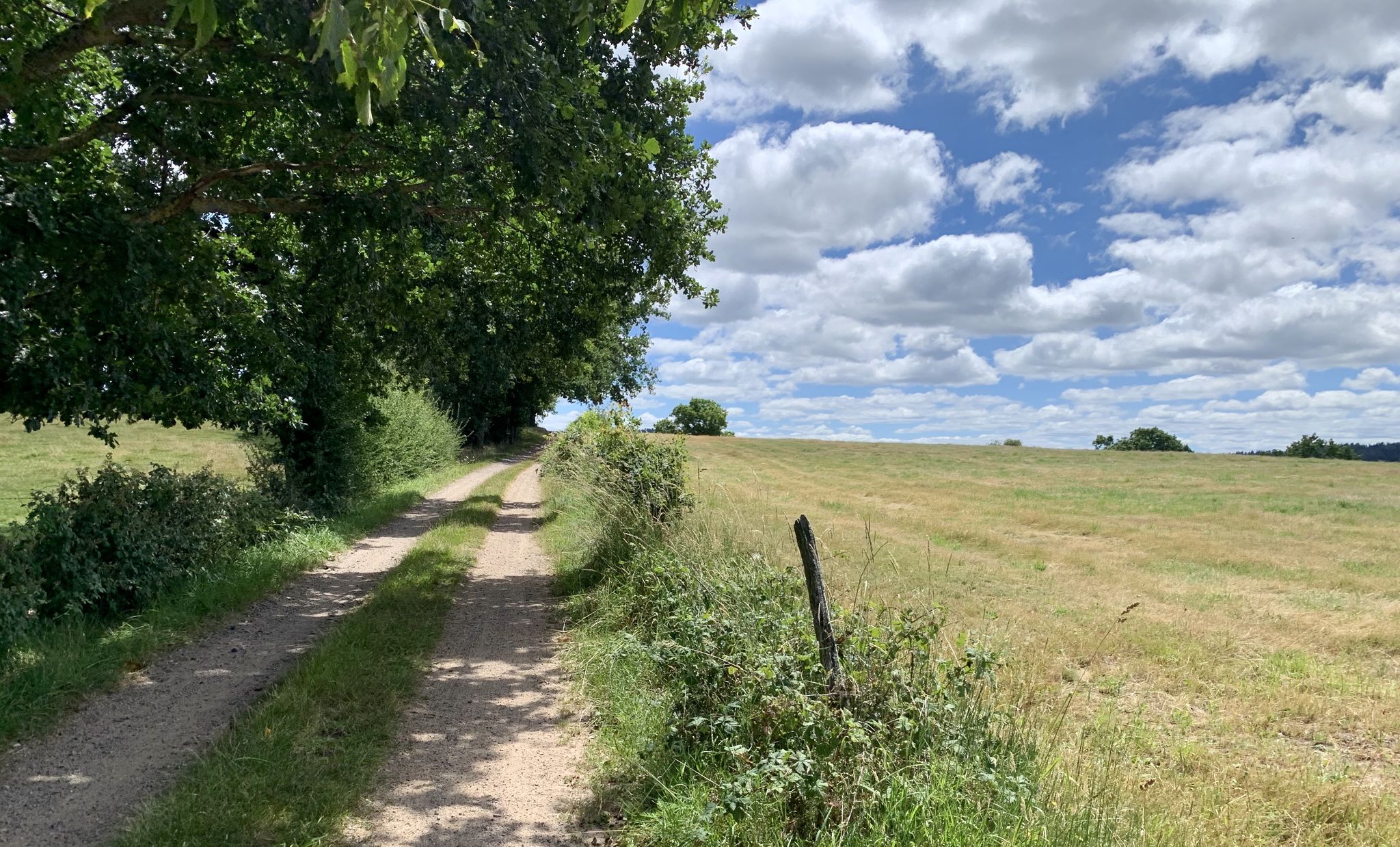 La magie estivale : des chemins, des prés, du ciel bleu et des nuages