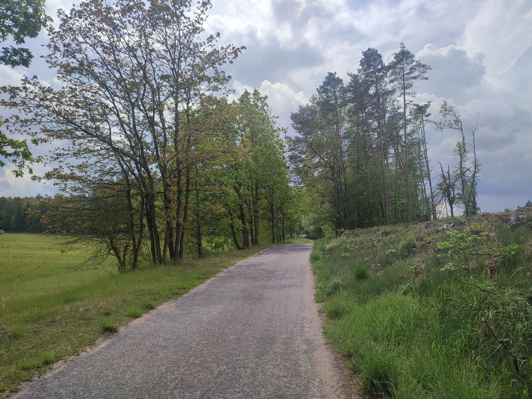 kleine Straße vor Stare Drawsko