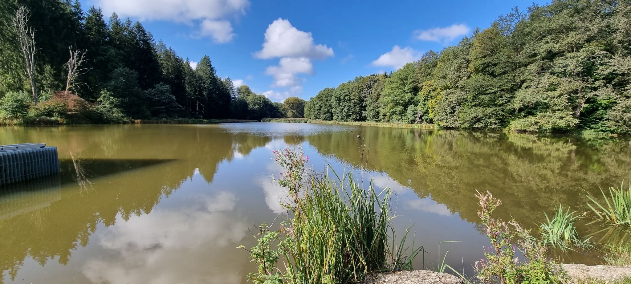 Dintinger Weiher